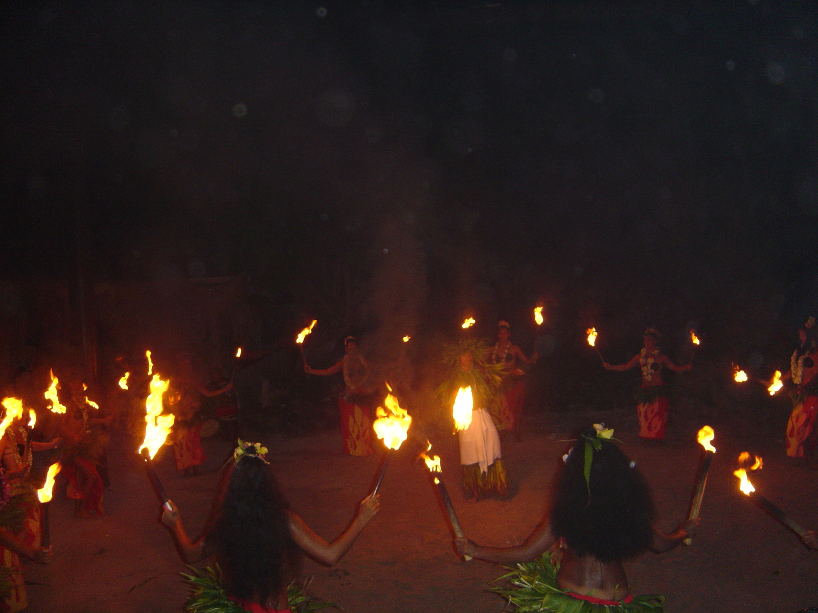 照片 波利尼西亚(Polynesia) 莫雷阿岛(Moorea) 2006-04 114