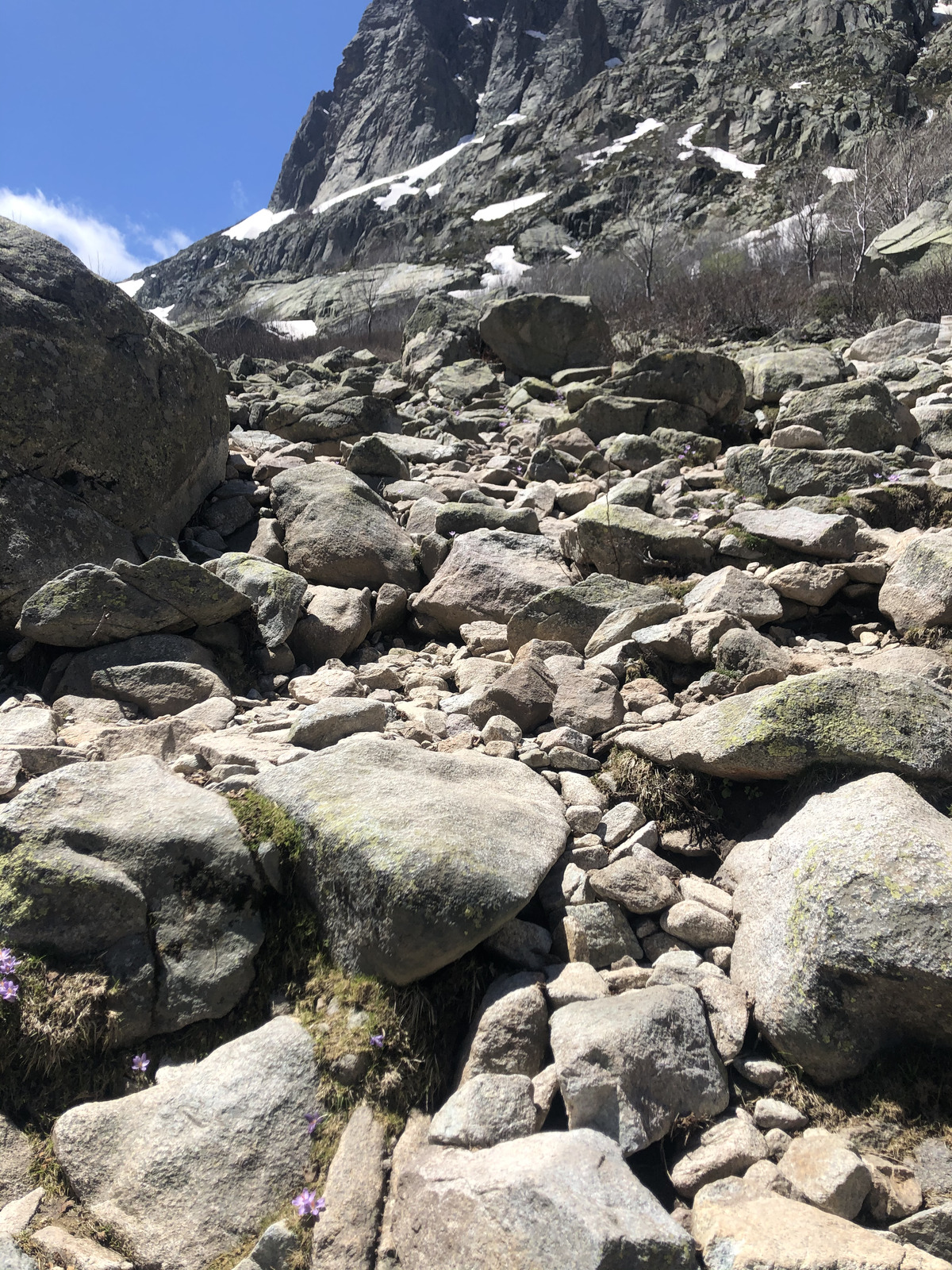 照片 法国(France) 科西嘉岛(Corsica) 梅洛湖和卡皮泰洛湖(Lac de Melo et Capitello) 2021-06 281
