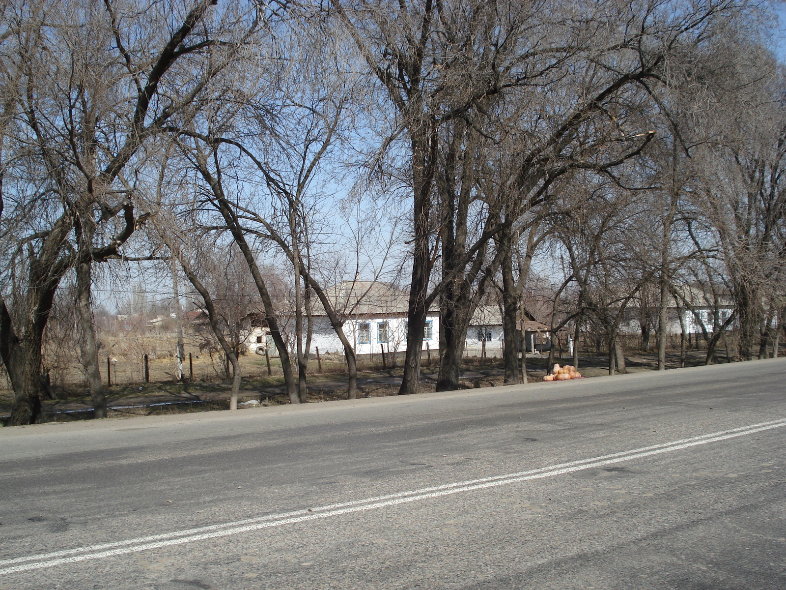照片 哈萨克斯坦(Kazakhstan) 阿拉木图至恰伦峡谷公路(Almaty to Charyn Canyon road) 2007-03 23