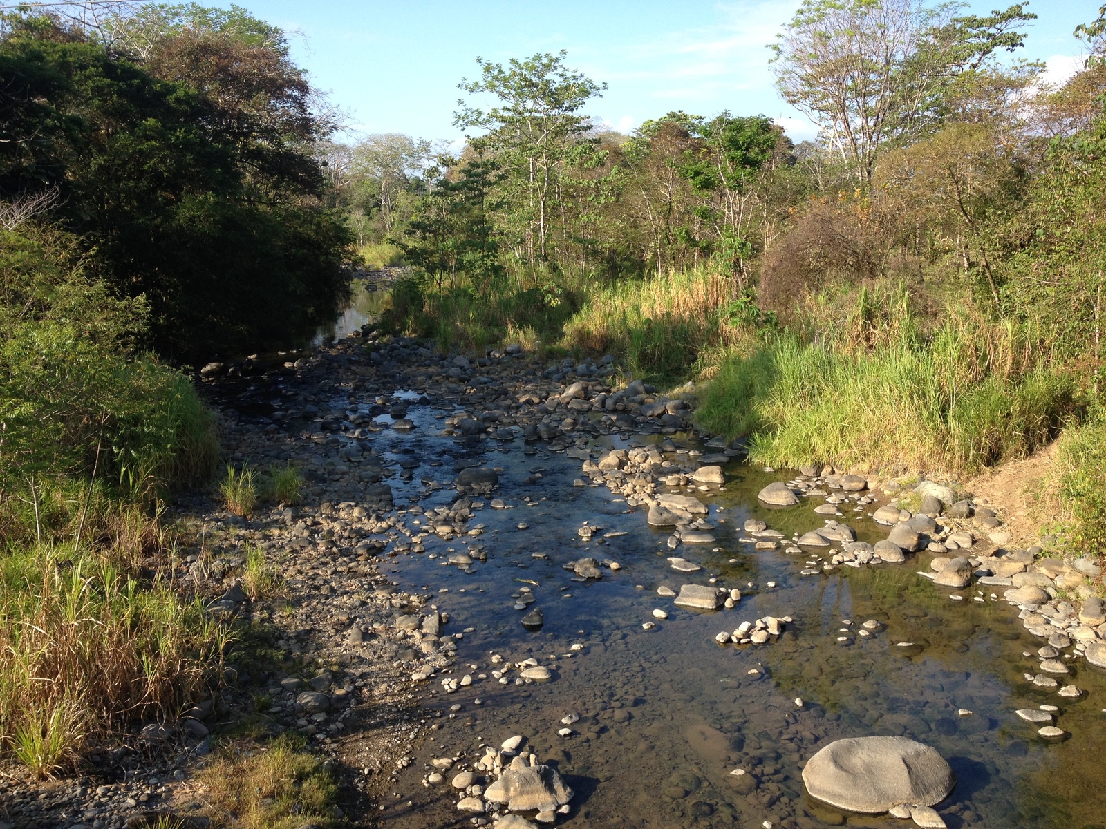 照片 哥斯达黎加(Costa Rica) 乌维塔(Uvita) 2015-03 103