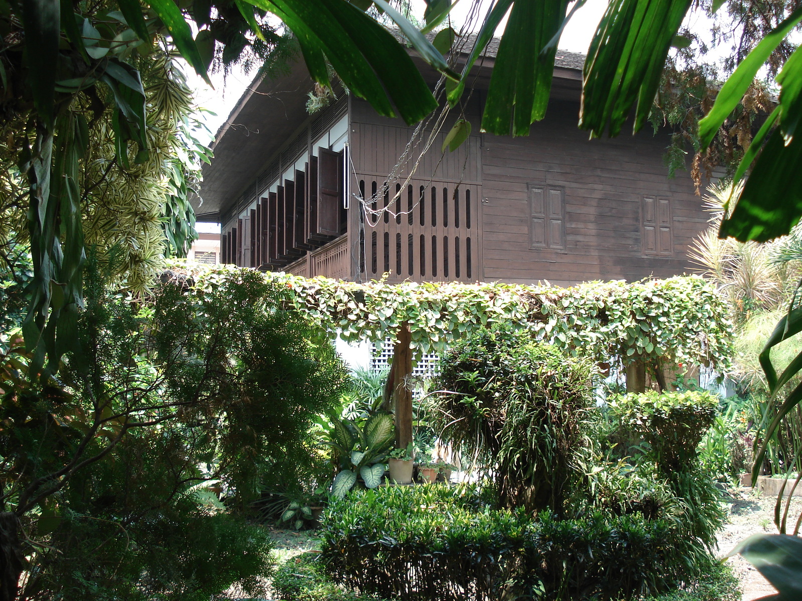照片 泰国(Thailand) 清迈(Chiang Mai) 护城河内(Inside Canal) 拉查丹嫩路（步行街）(Rad Cha Dom Nurn (Walking Street)) 2006-04 35