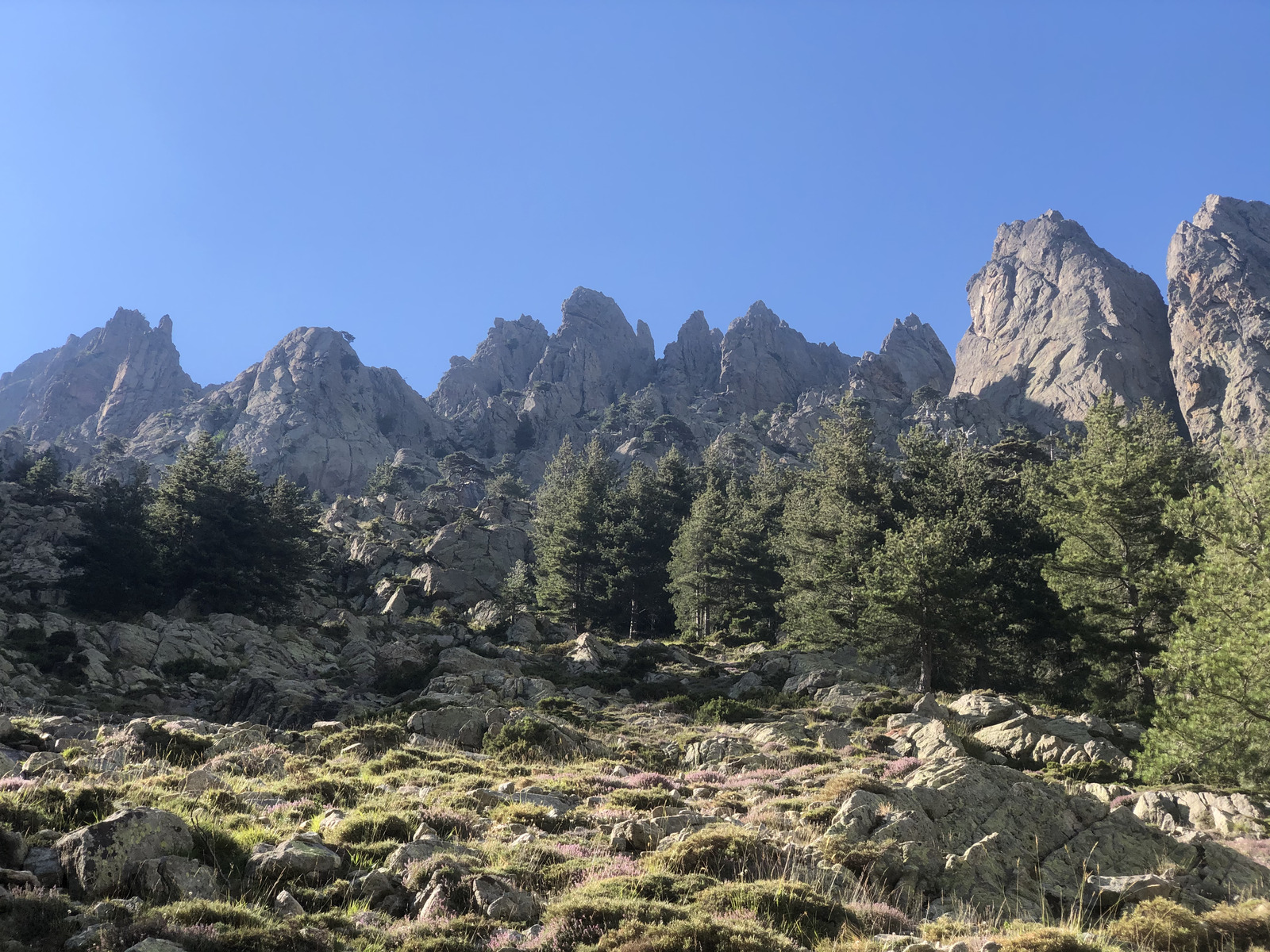照片 法国(France) 科西嘉岛(Corsica) 雷斯托尼卡山谷(La Restonica) 2020-07 67