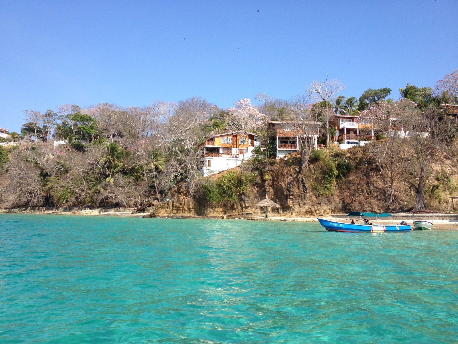照片 巴拿马(Panama) 孔塔多拉岛(Contadora Island) 2015-03 158
