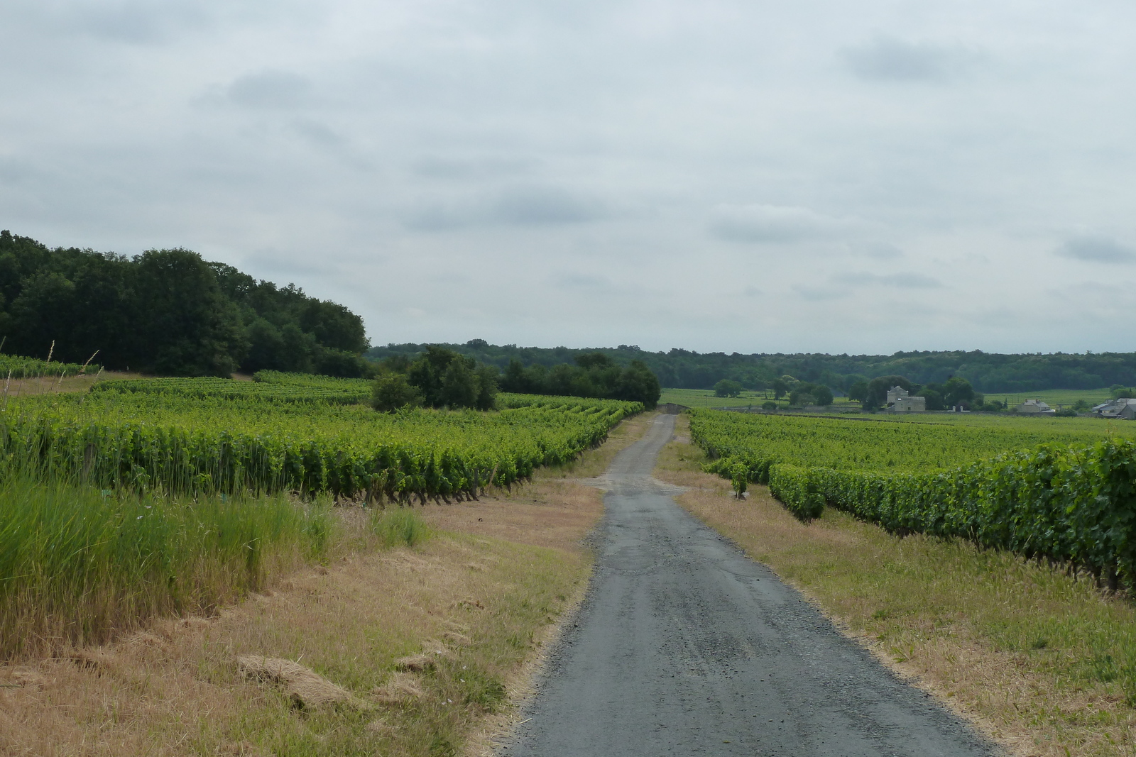 照片 法国(France) 索米尔(Saumur) 2011-05 26