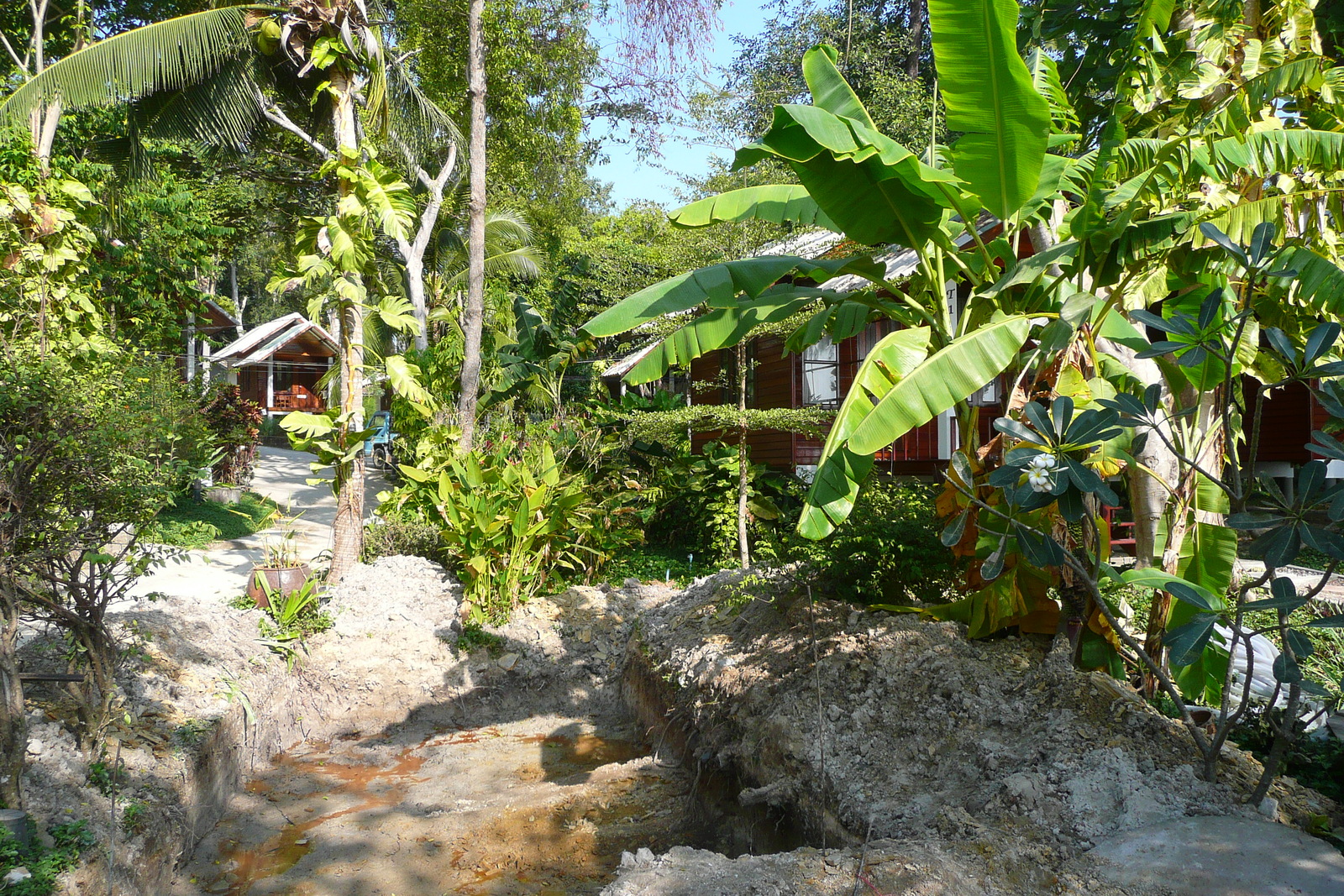 照片 泰国(Thailand) 沙美岛(Ko Samet) 2009-01 80
