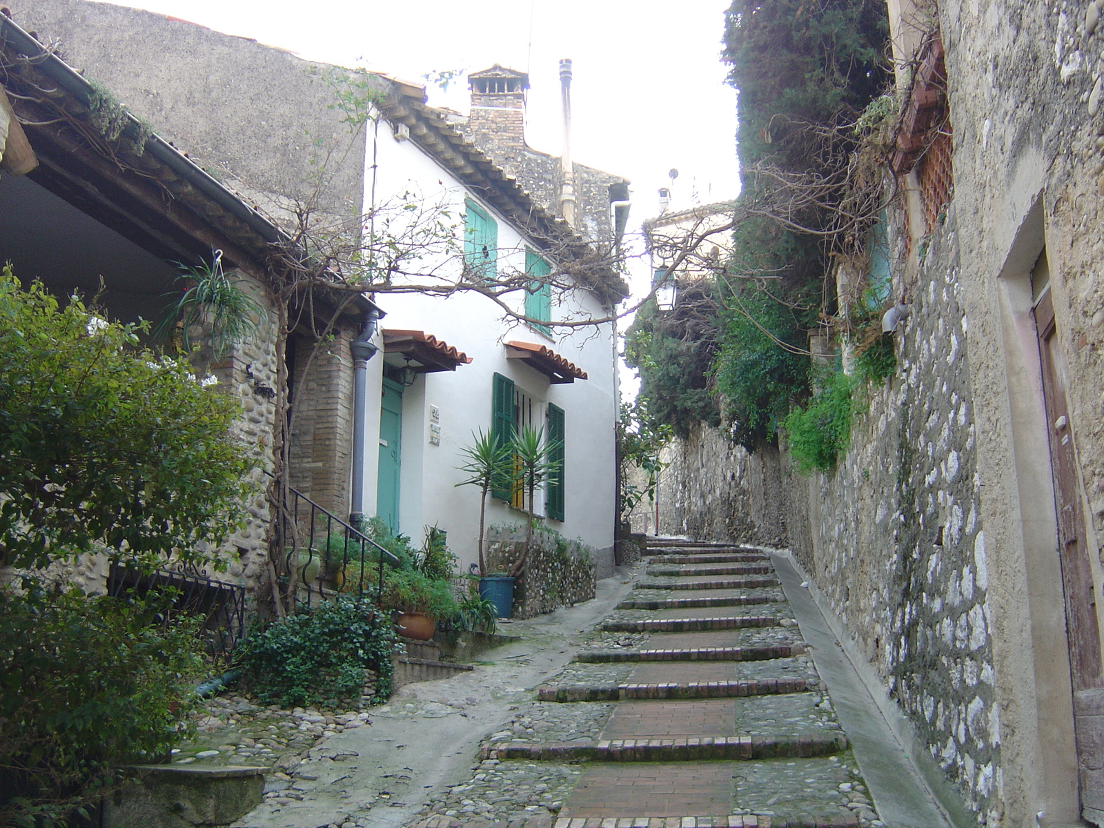 照片 法国(France) 上卡涅(Les Hauts de Cagnes) 2006-01 70