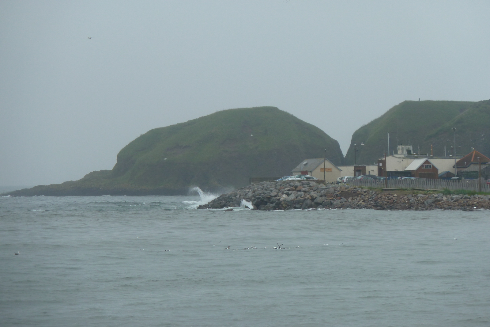 照片 英国(United Kingdom) 苏格兰(Scotland) 斯通黑文(Stonehaven) 2011-07 4