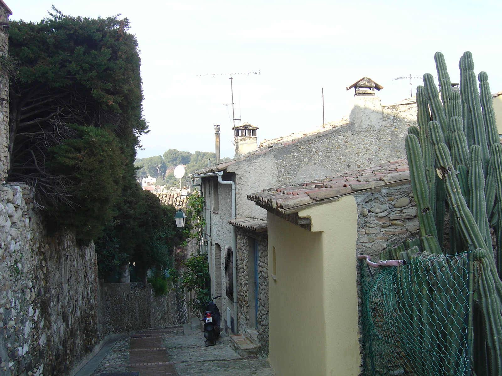 照片 法国(France) 上卡涅(Les Hauts de Cagnes) 2006-01 55