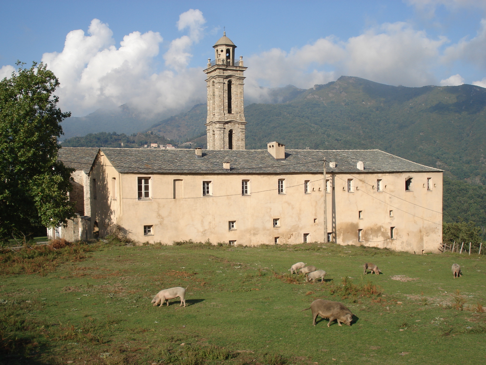 照片 法国(France) 科西嘉岛(Corsica) 阿莱萨尼山谷(Valle d'alesani) 2006-09 102