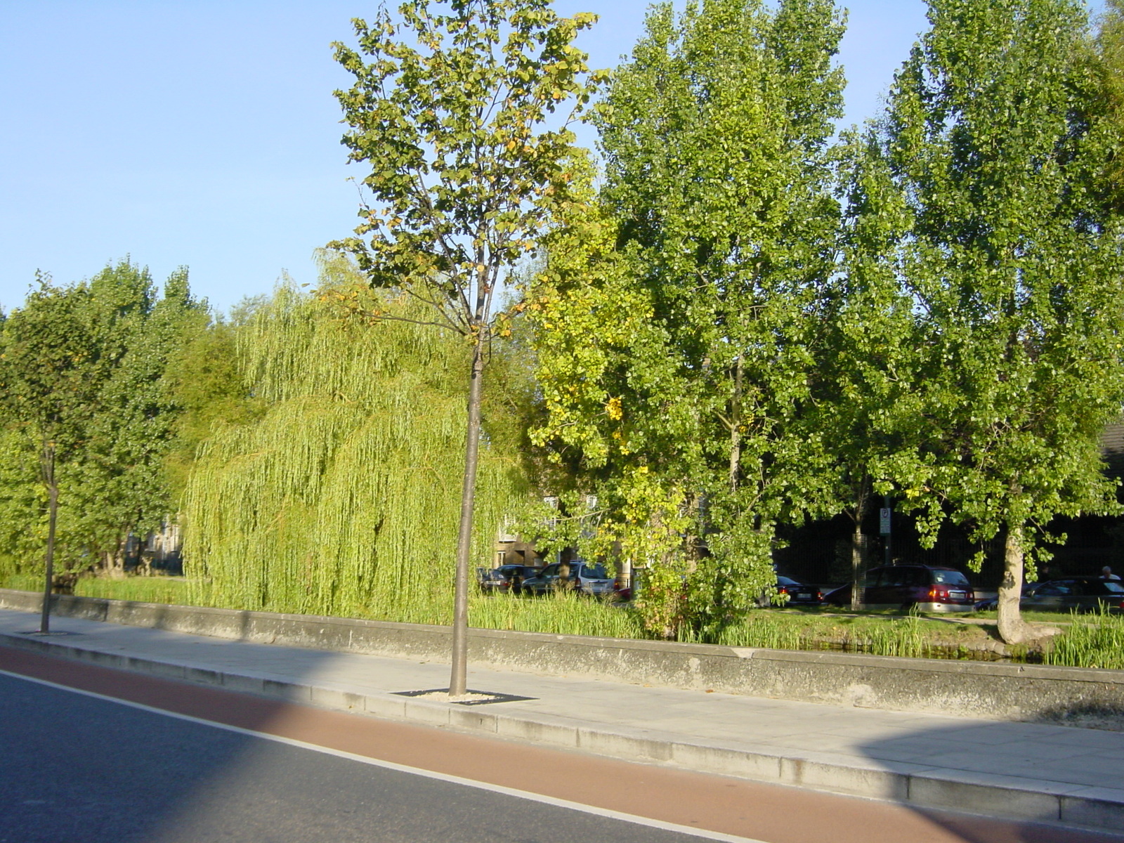 照片 爱尔兰(Ireland) 都柏林(Dublin) 2003-09 11