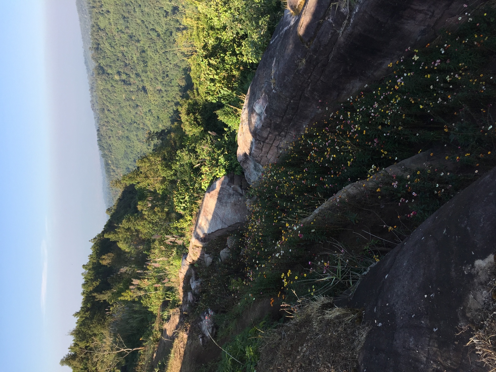 照片 泰国(Thailand) 普欣隆卡国家公园(Phu Hin Rong Kla National Park) 2014-12 273