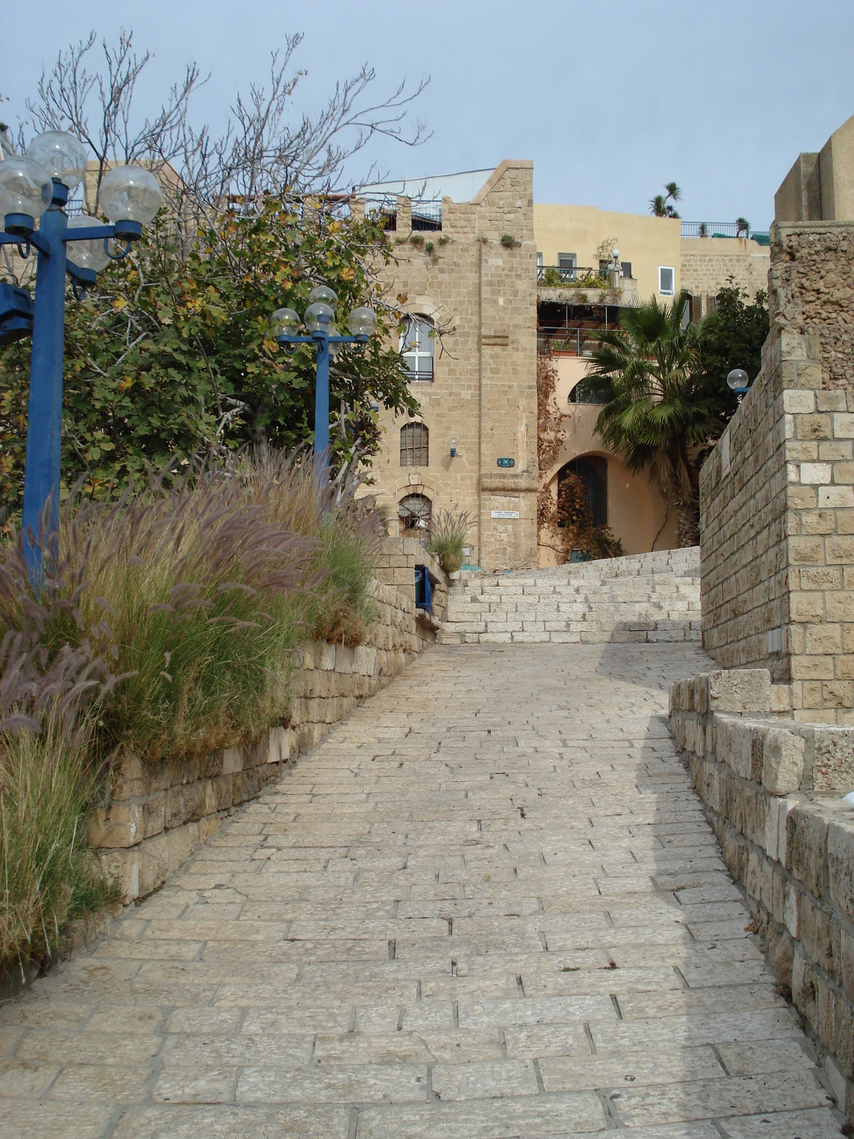 照片 以色列(Israel) 雅法(Jaffa) 2006-12 210