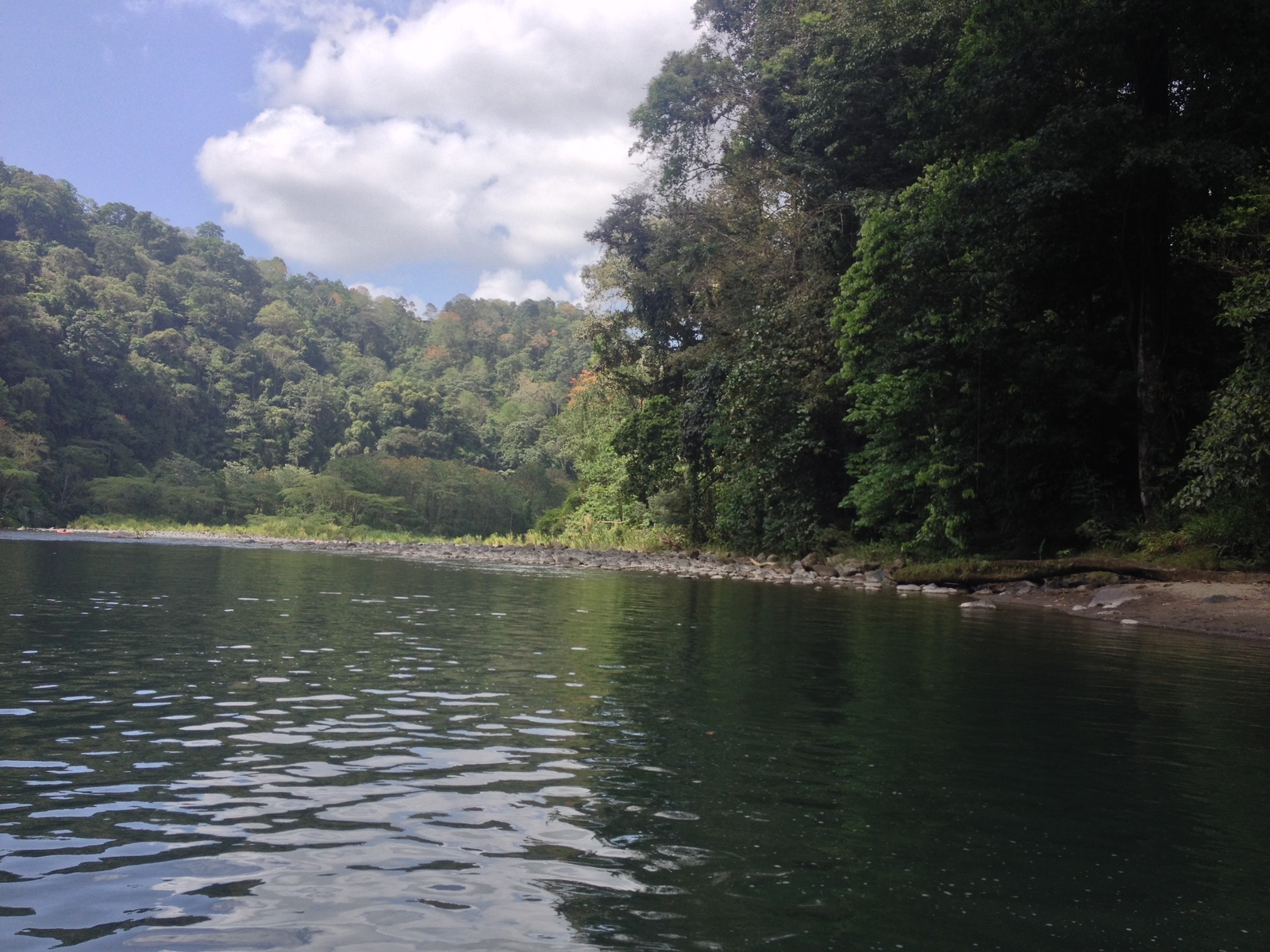 照片 哥斯达黎加(Costa Rica) 帕夸雷河(Pacuare River) 2015-03 270
