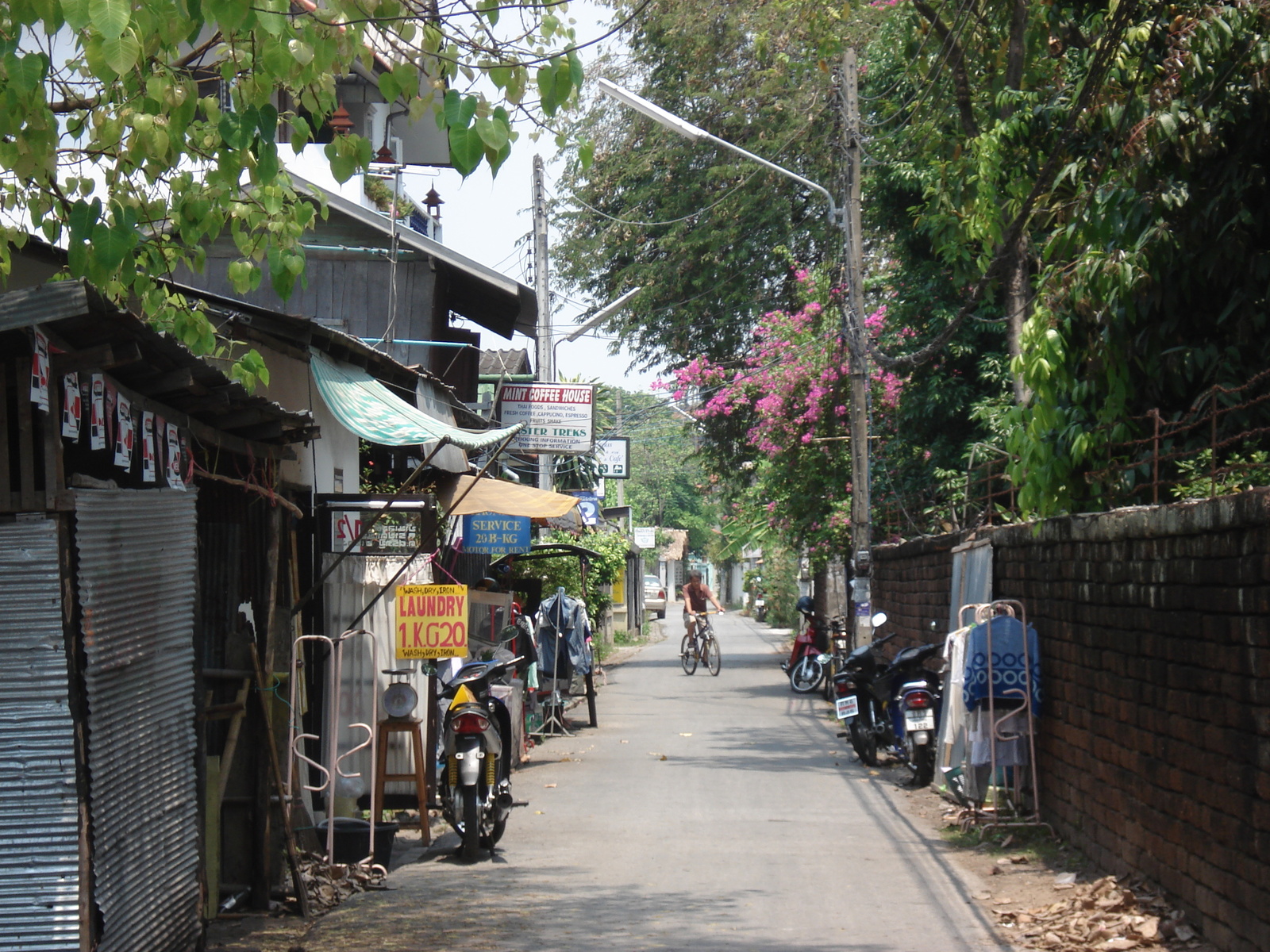 照片 泰国(Thailand) 清迈(Chiang Mai) 护城河内(Inside Canal) 拉查丹嫩路（步行街）(Rad Cha Dom Nurn (Walking Street)) 2006-04 12