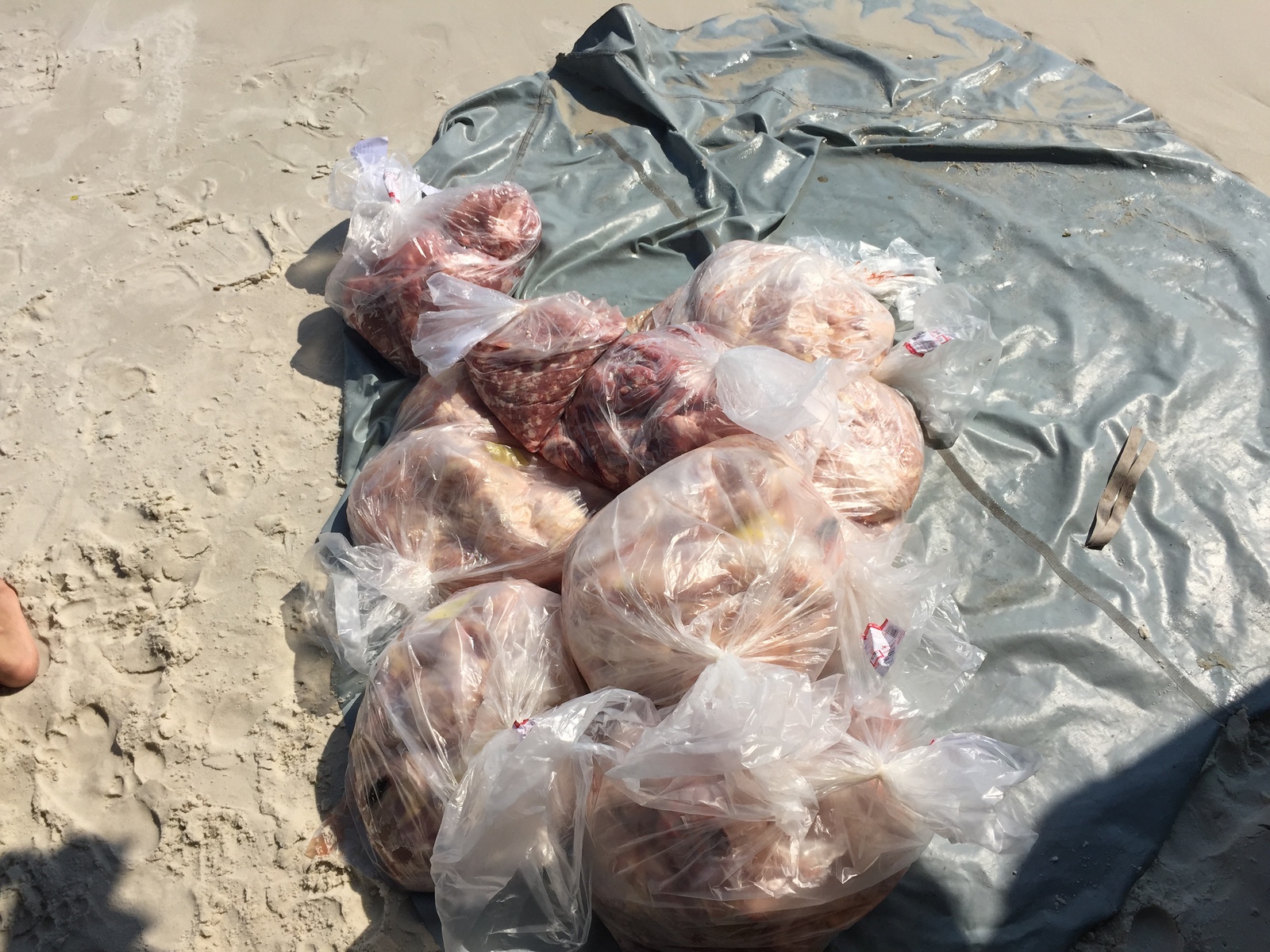 照片 泰国(Thailand) 沙美岛(Ko Samet) 2016-01 91