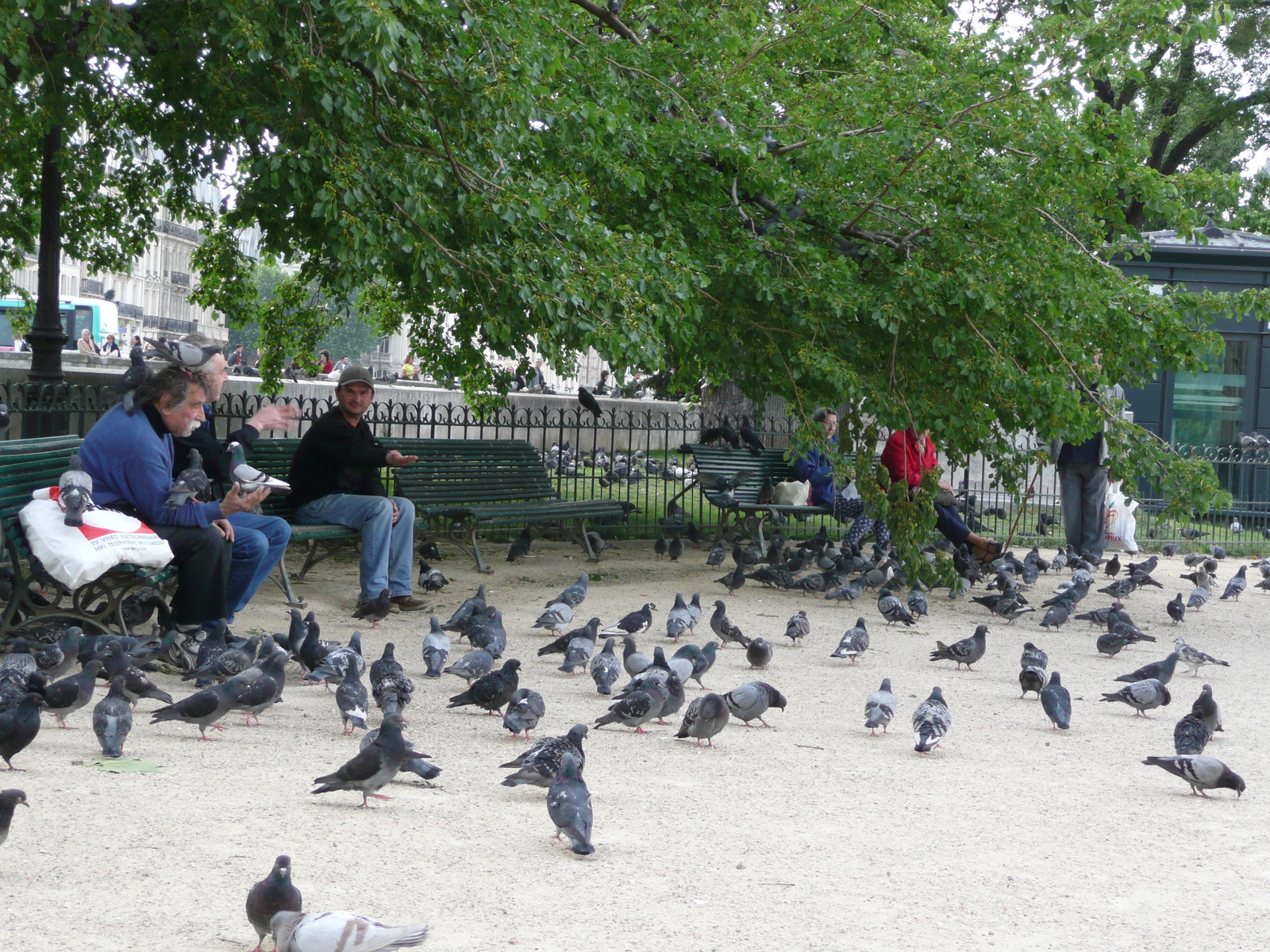 照片 法国(France) 巴黎(Paris) 巴黎圣母院(Notre Dame) 2007-05 218