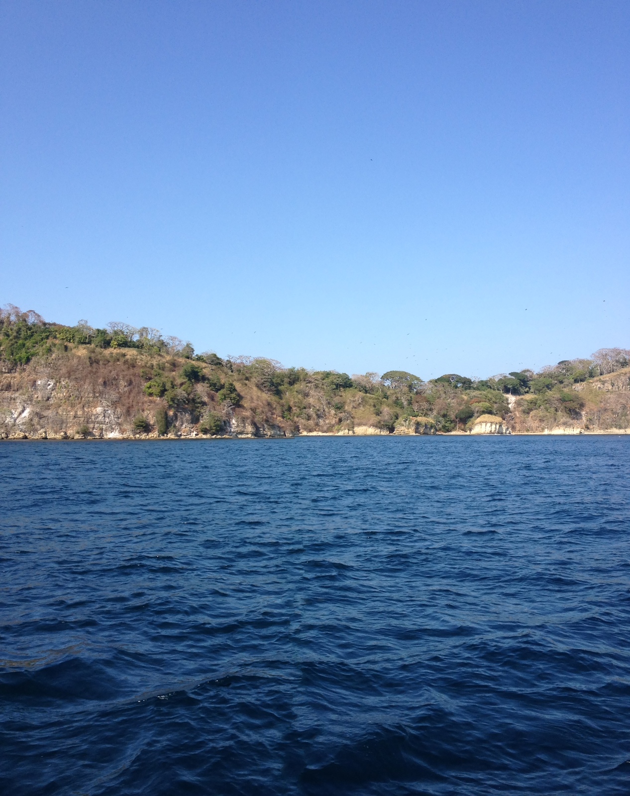 照片 巴拿马(Panama) 巴拿马城至珍珠群岛(Panama to Las Perlas) 2015-03 79
