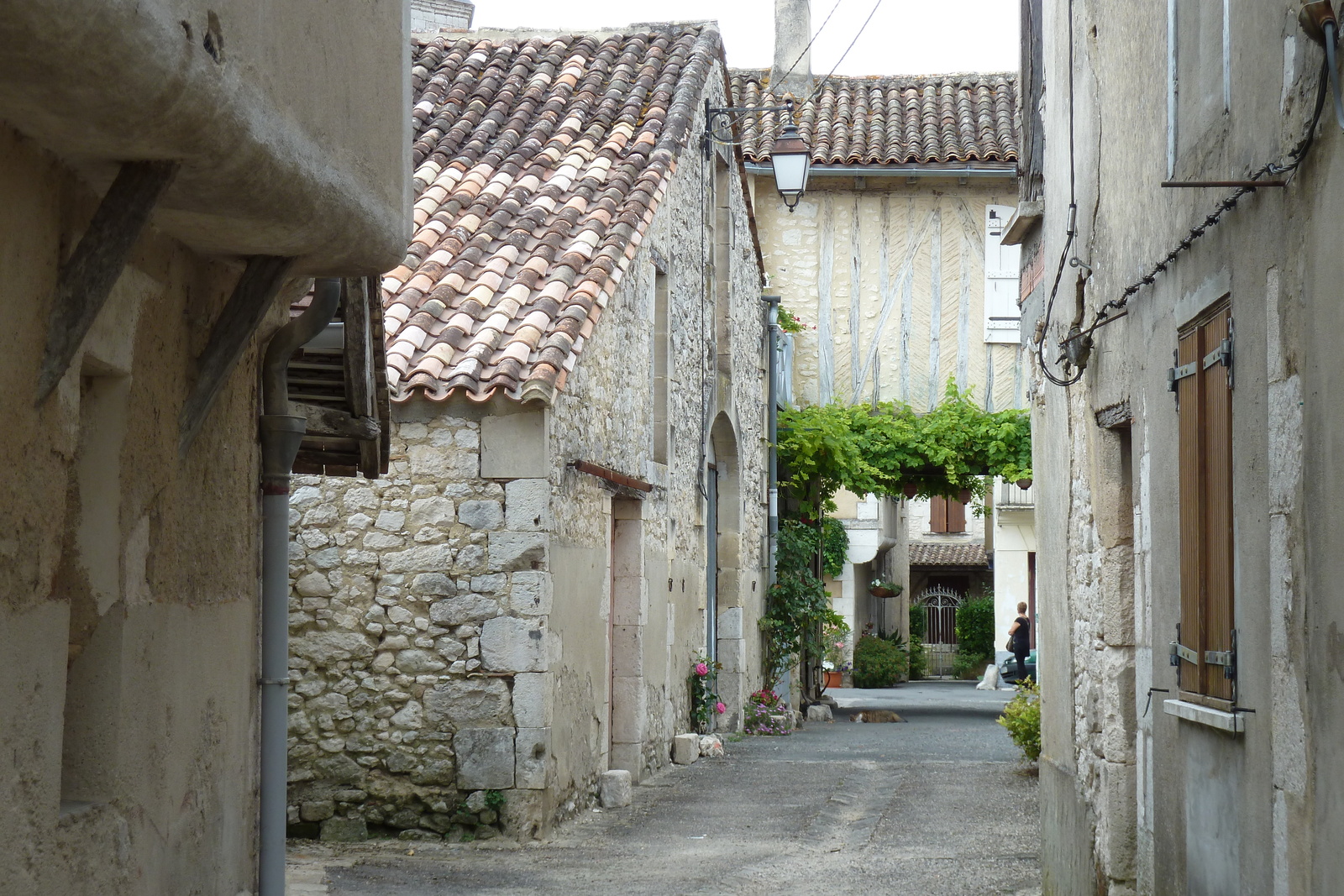 照片 法国(France) 伊西雅克(Issigeac) 2010-08 35