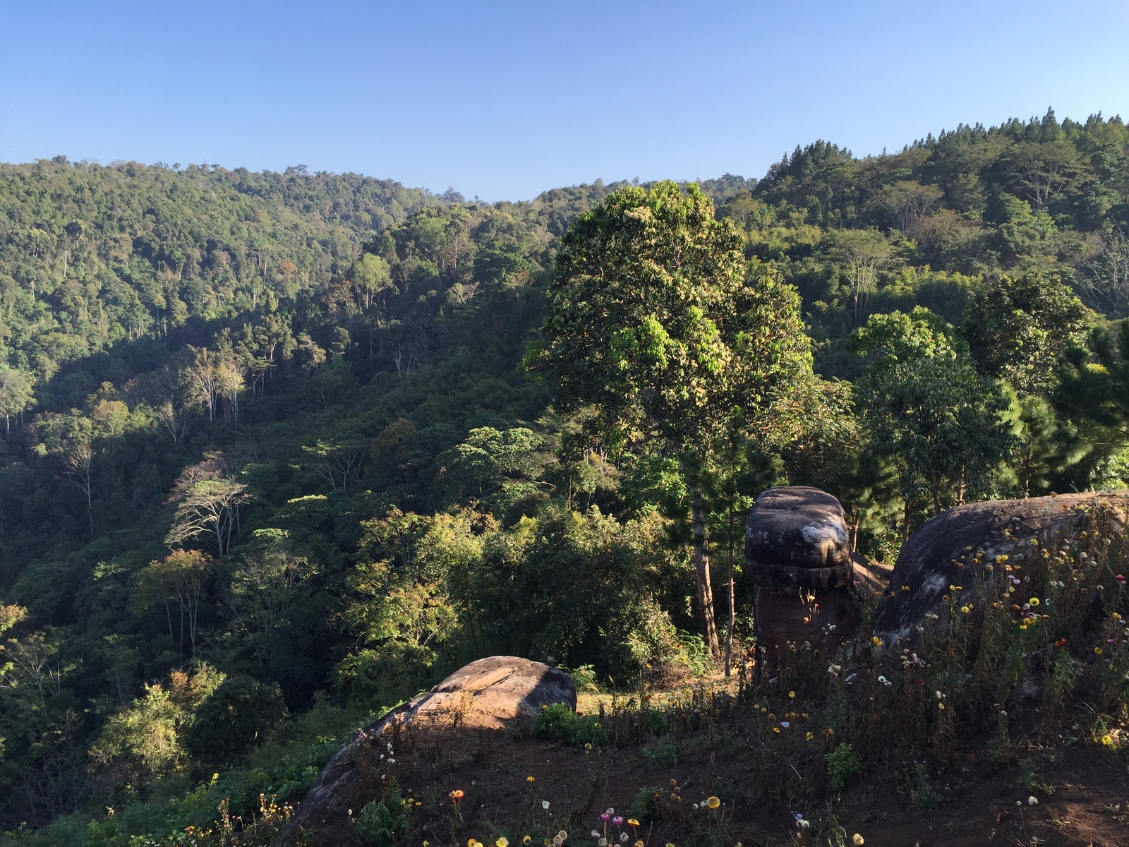 照片 泰国(Thailand) 普欣隆卡国家公园(Phu Hin Rong Kla National Park) 2014-12 152