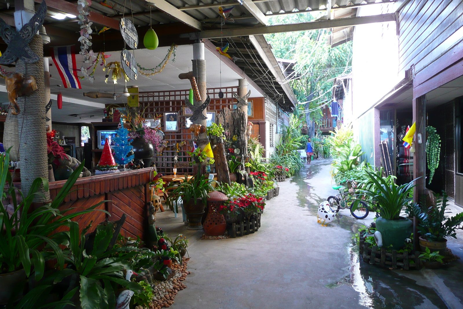 照片 泰国(Thailand) 沙美岛(Ko Samet) 赛乔海滩(Had Sai Kaew) 2008-12 53