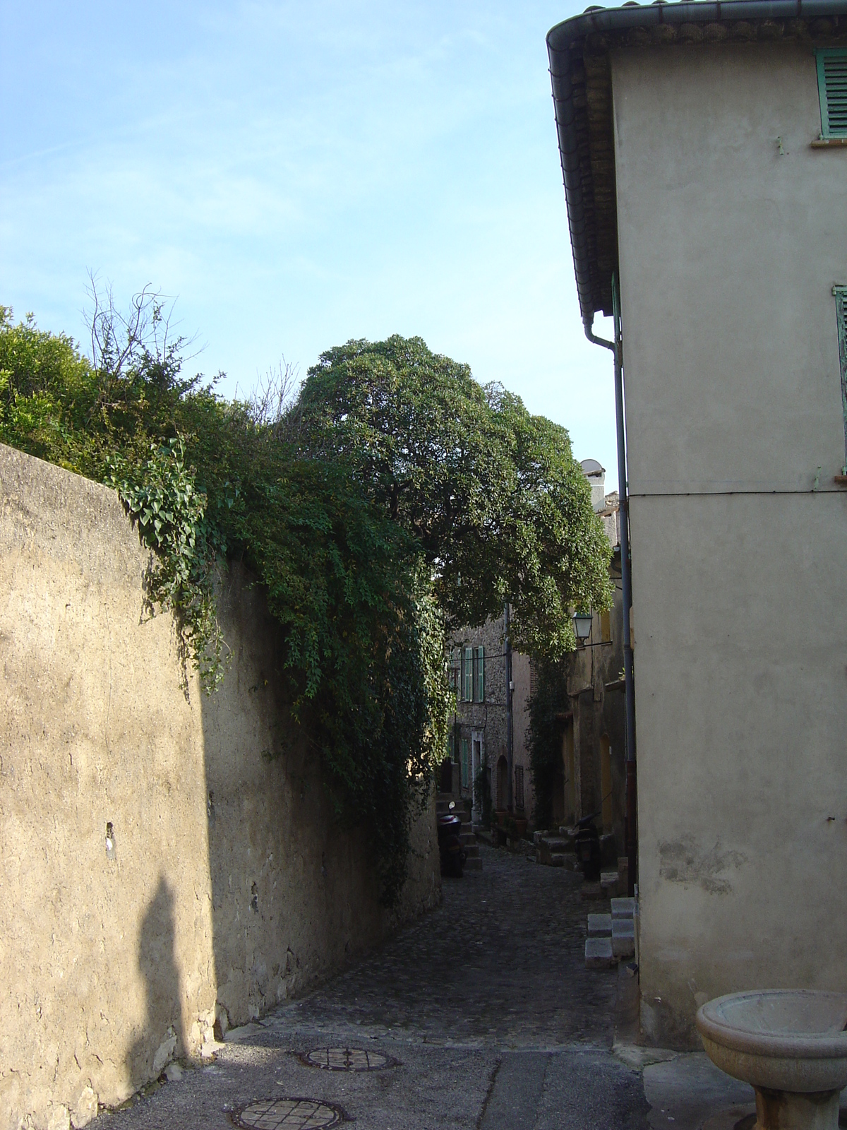 照片 法国(France) 上卡涅(Les Hauts de Cagnes) 2006-01 25