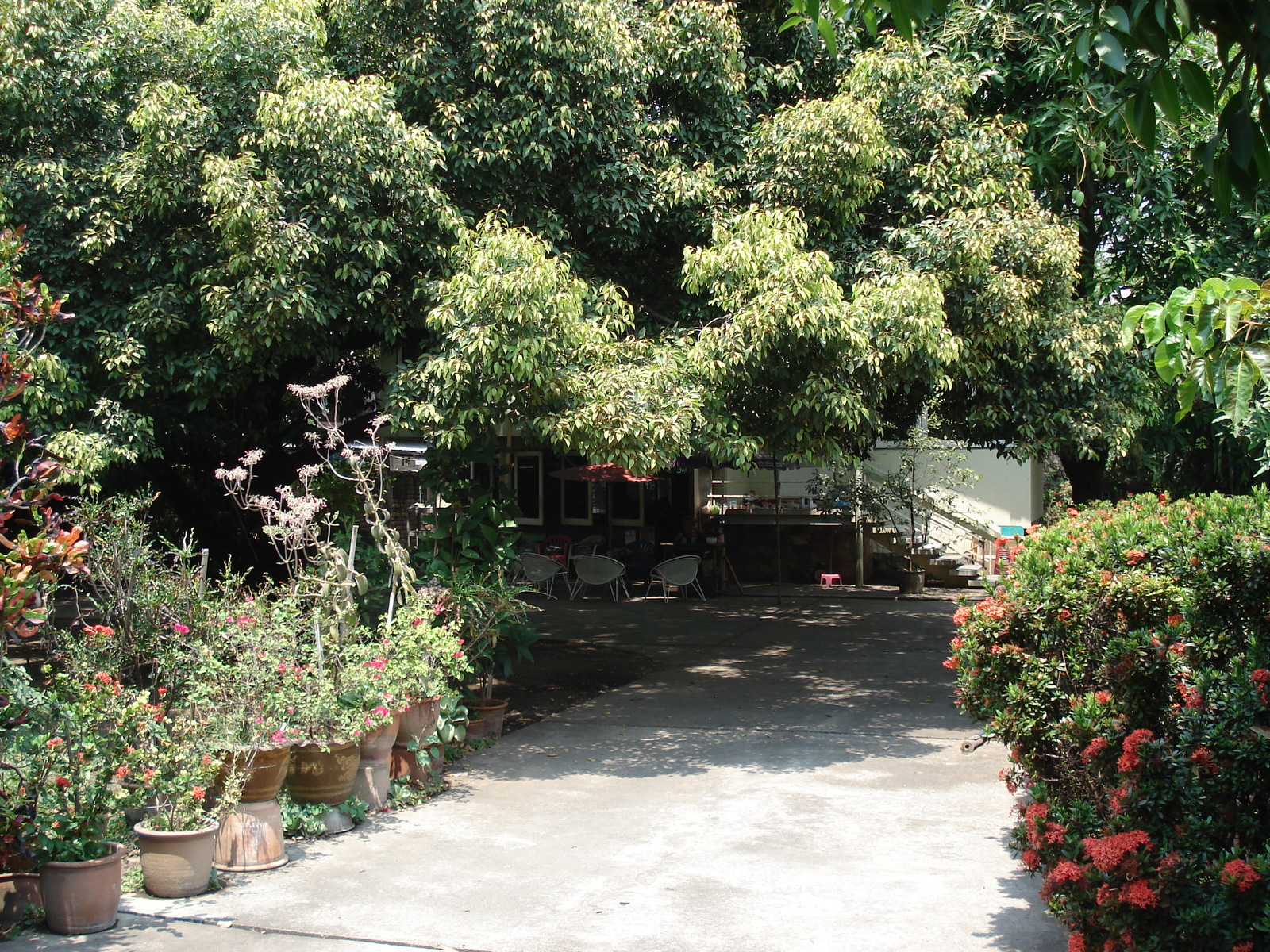 照片 泰国(Thailand) 清迈(Chiang Mai) 护城河内(Inside Canal) 拉查丹嫩路（步行街）(Rad Cha Dom Nurn (Walking Street)) 2006-04 5