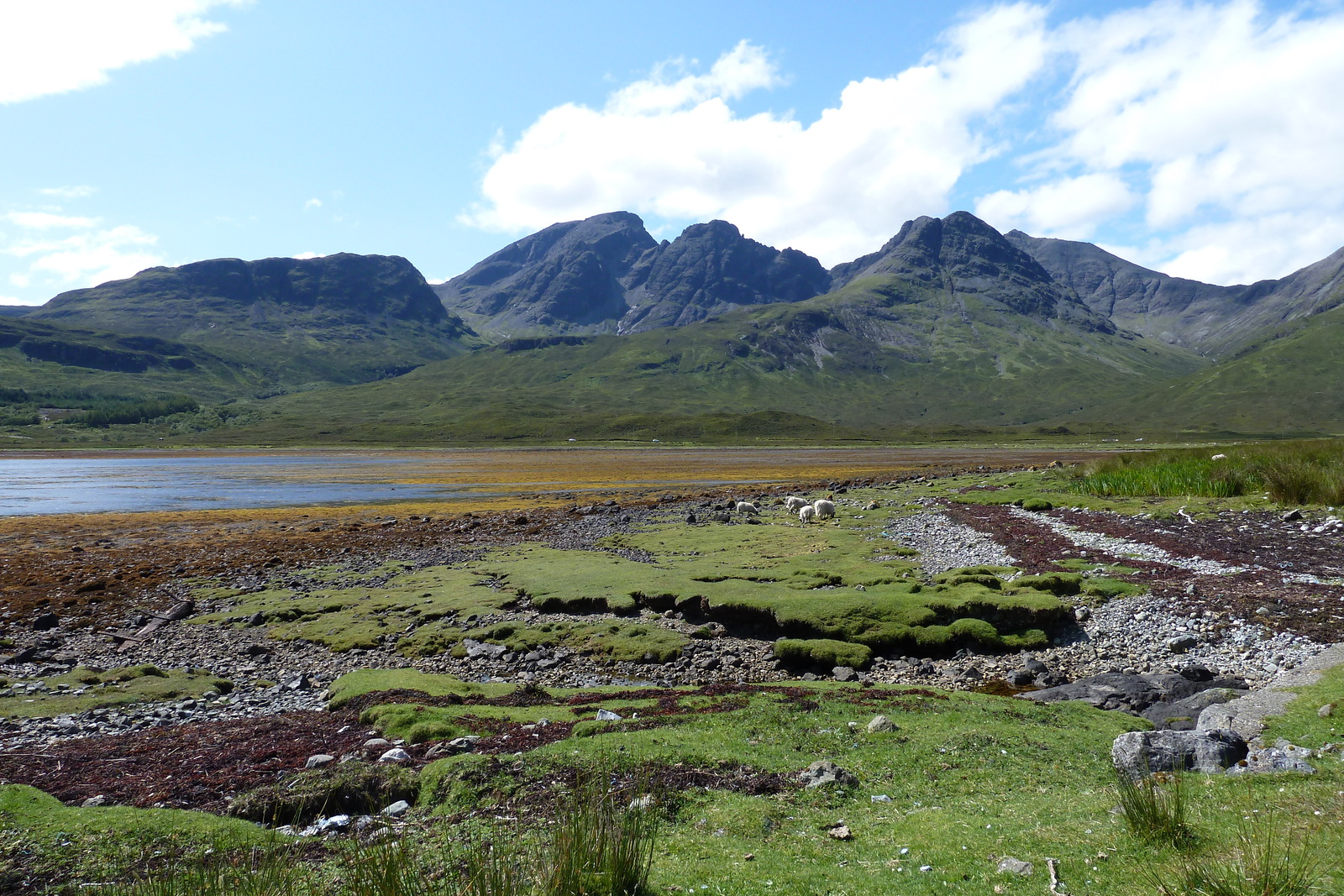 照片 英国(United Kingdom) 斯凯岛(Skye) 库林山脉(The Cuillin) 2011-07 5