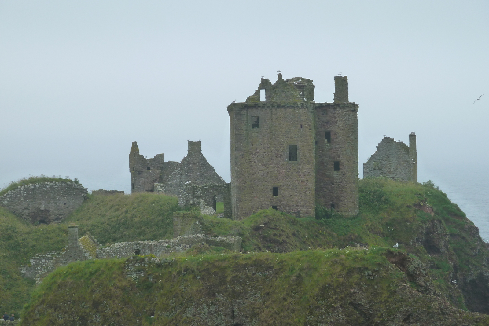 照片 英国(United Kingdom) 苏格兰(Scotland) 邓诺特城堡(Dunnottar Castle) 2011-07 11