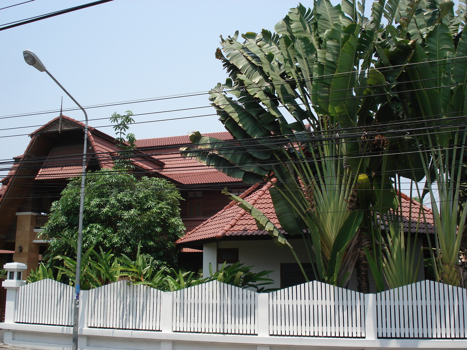 照片 泰国(Thailand) 清迈(Chiang Mai) 护城河内(Inside Canal) 拉查丹嫩路（步行街）(Rad Cha Dom Nurn (Walking Street)) 2006-04 2