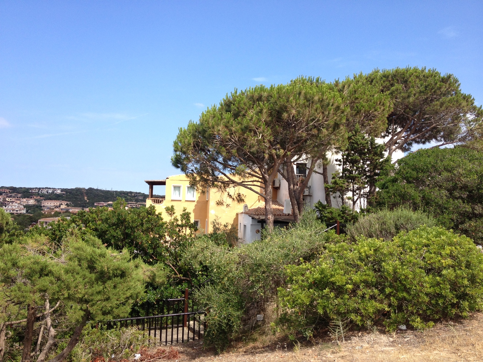 照片 意大利(Italy) 撒丁岛(Sardinia) 切尔沃港(Porto Cervo) 2015-06 6
