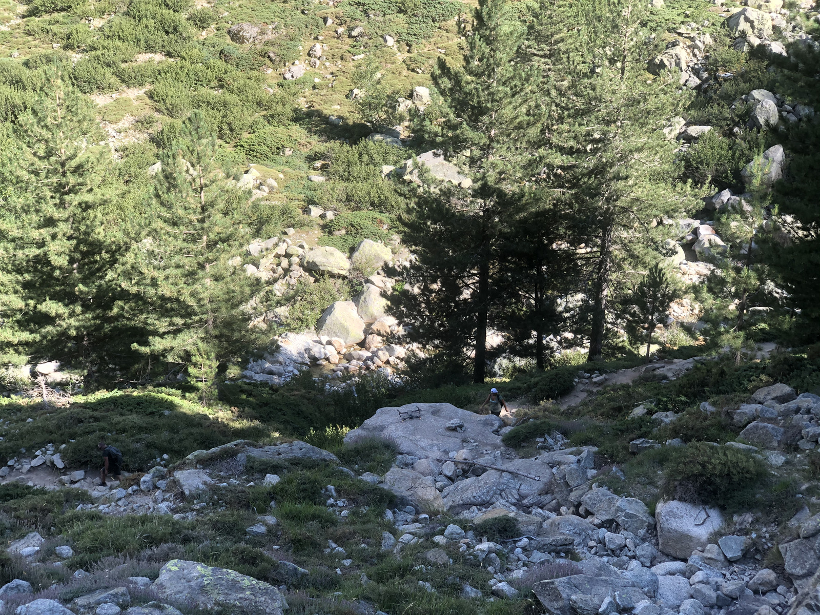 照片 法国(France) 科西嘉岛(Corsica) 雷斯托尼卡山谷(La Restonica) 2020-07 92