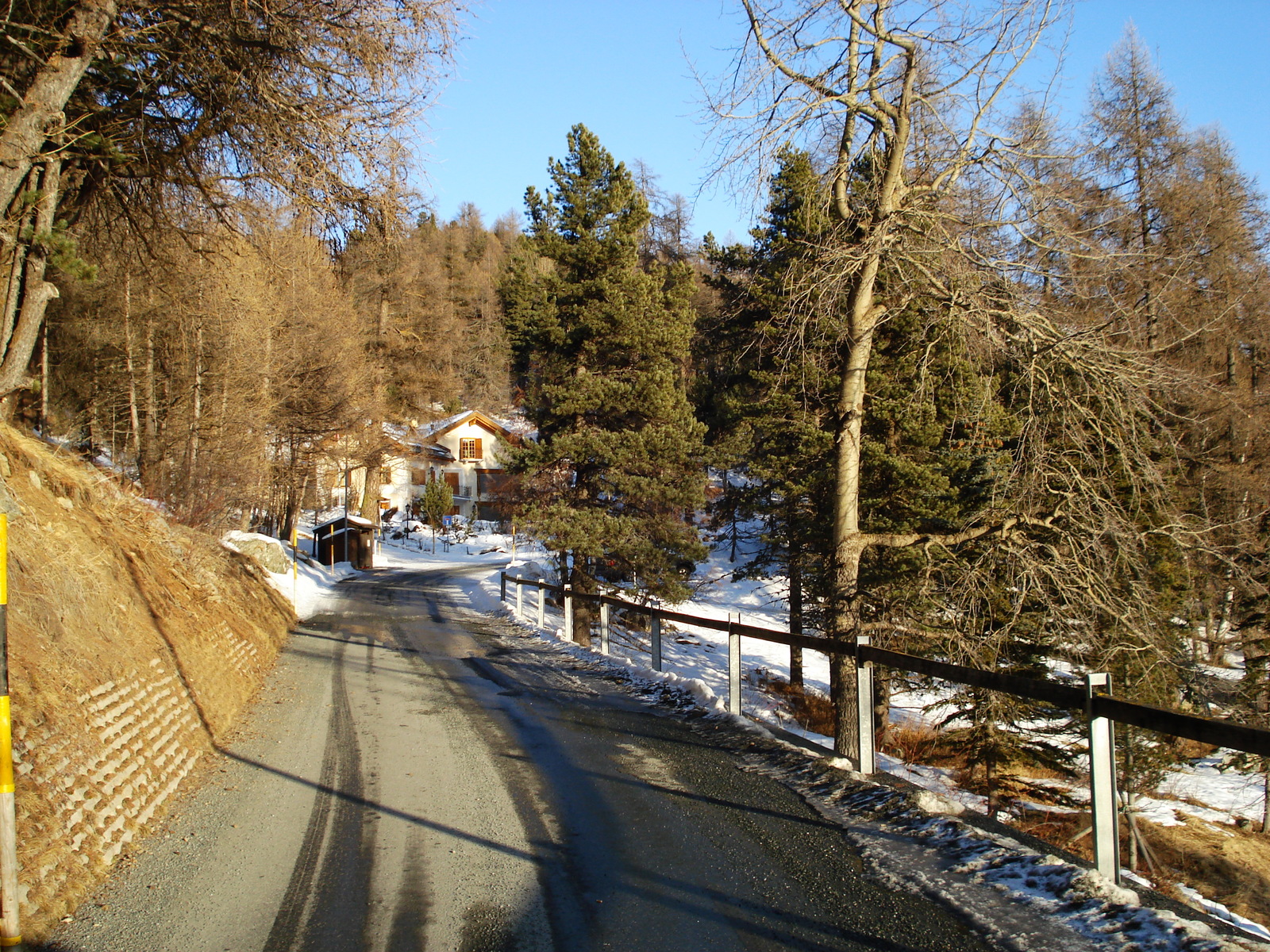 照片 瑞士(Switzerland) 圣莫里茨施拉里尼亚(St Moritz Schlarigna) 2007-01 55
