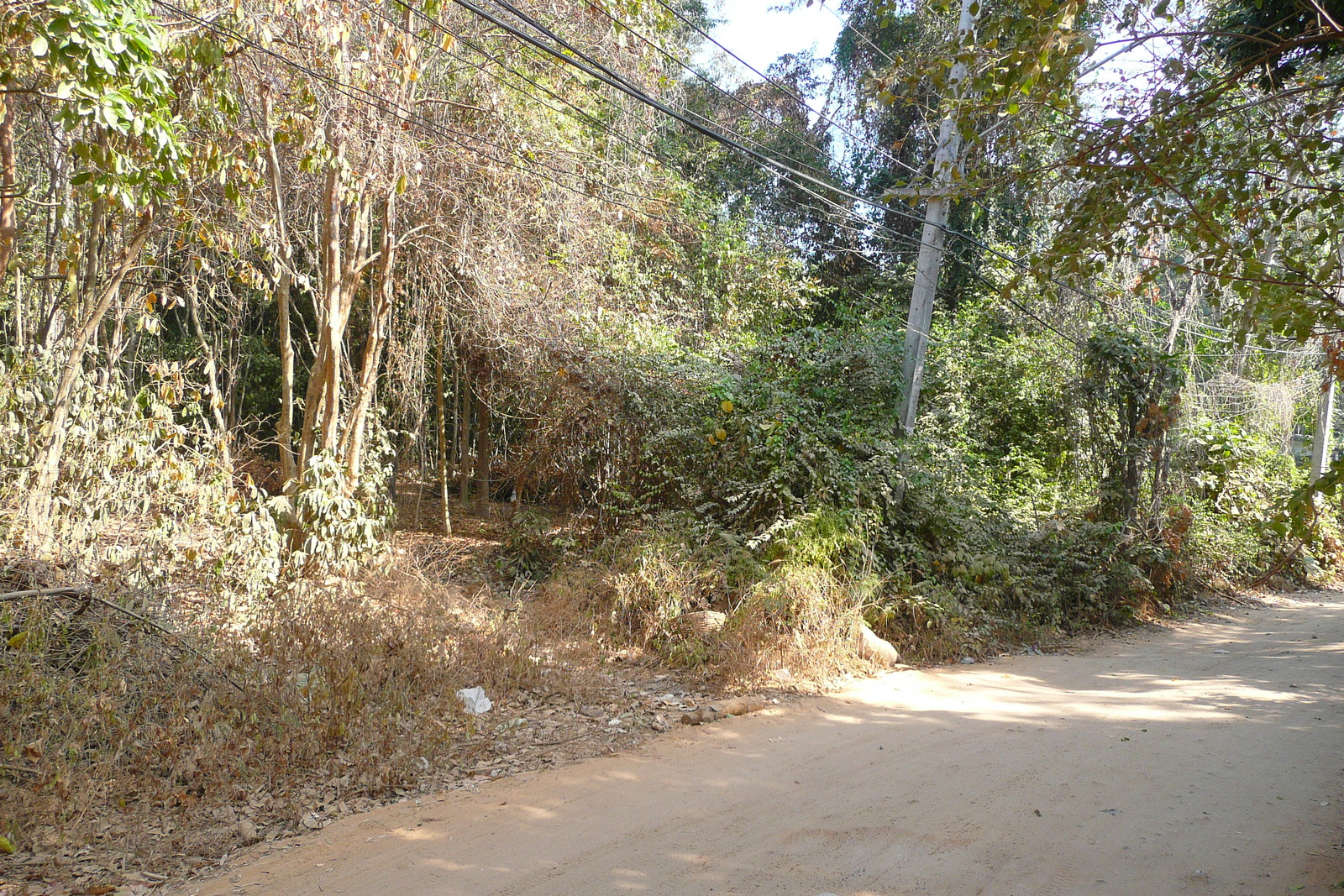 照片 泰国(Thailand) 沙美岛(Ko Samet) 派湾(Ao Phai) 2009-01 34