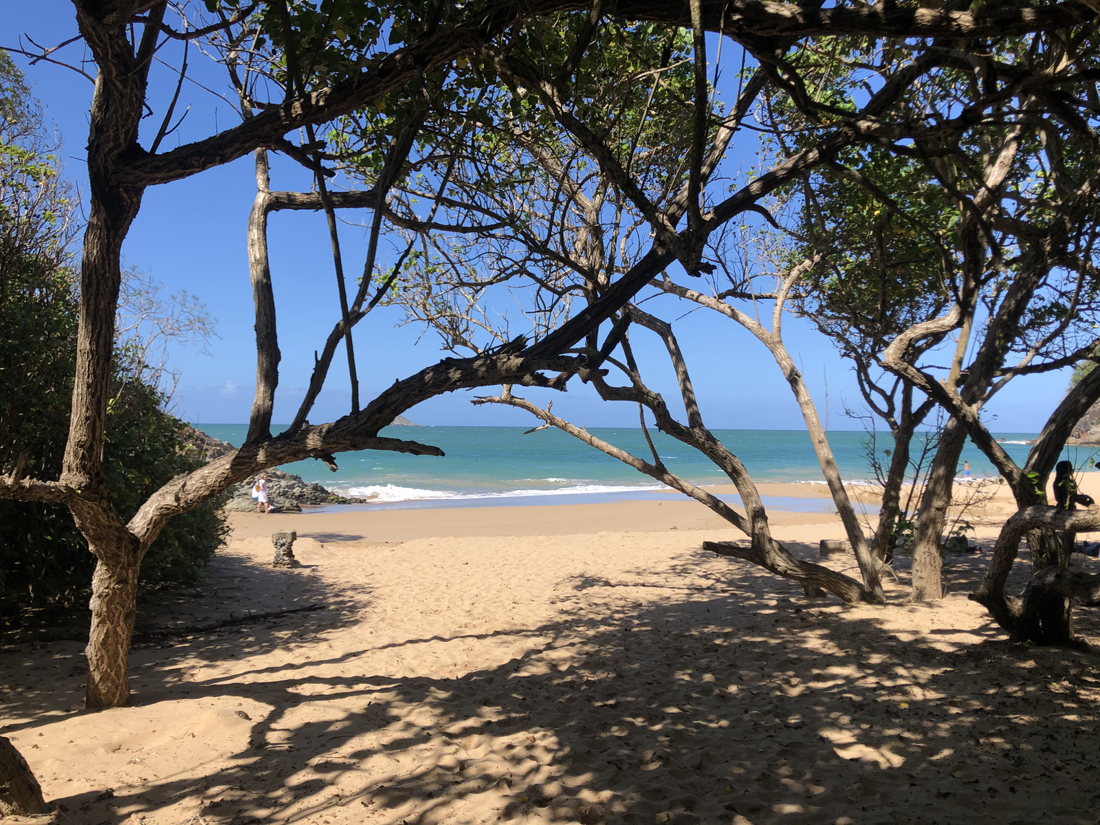 照片 瓜德罗普(Guadeloupe) 皇家堡(Fort Royal) 2021-02 10