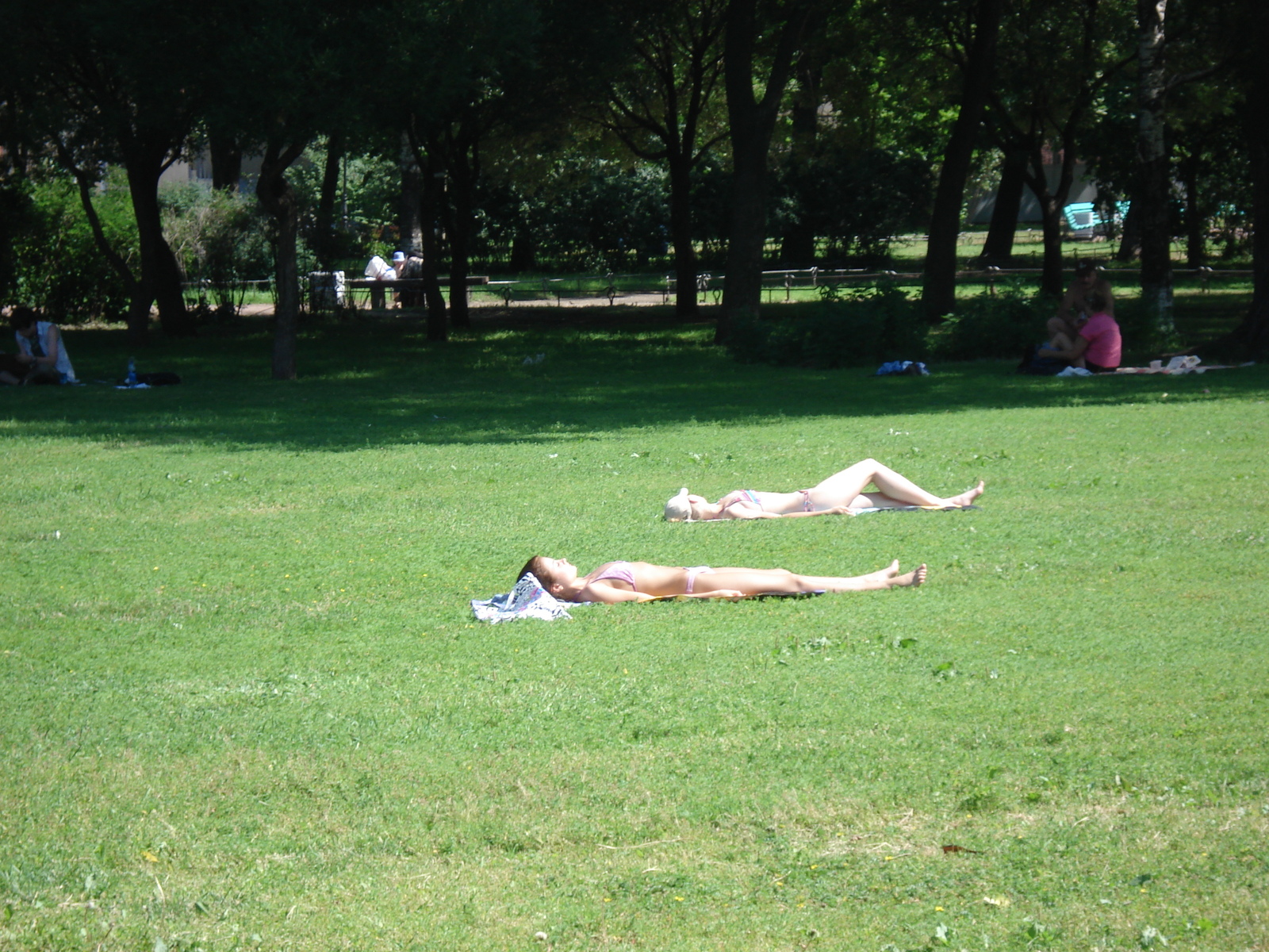 照片 俄罗斯(Russia) 圣彼得堡(St Petersburg) 2006-07 79