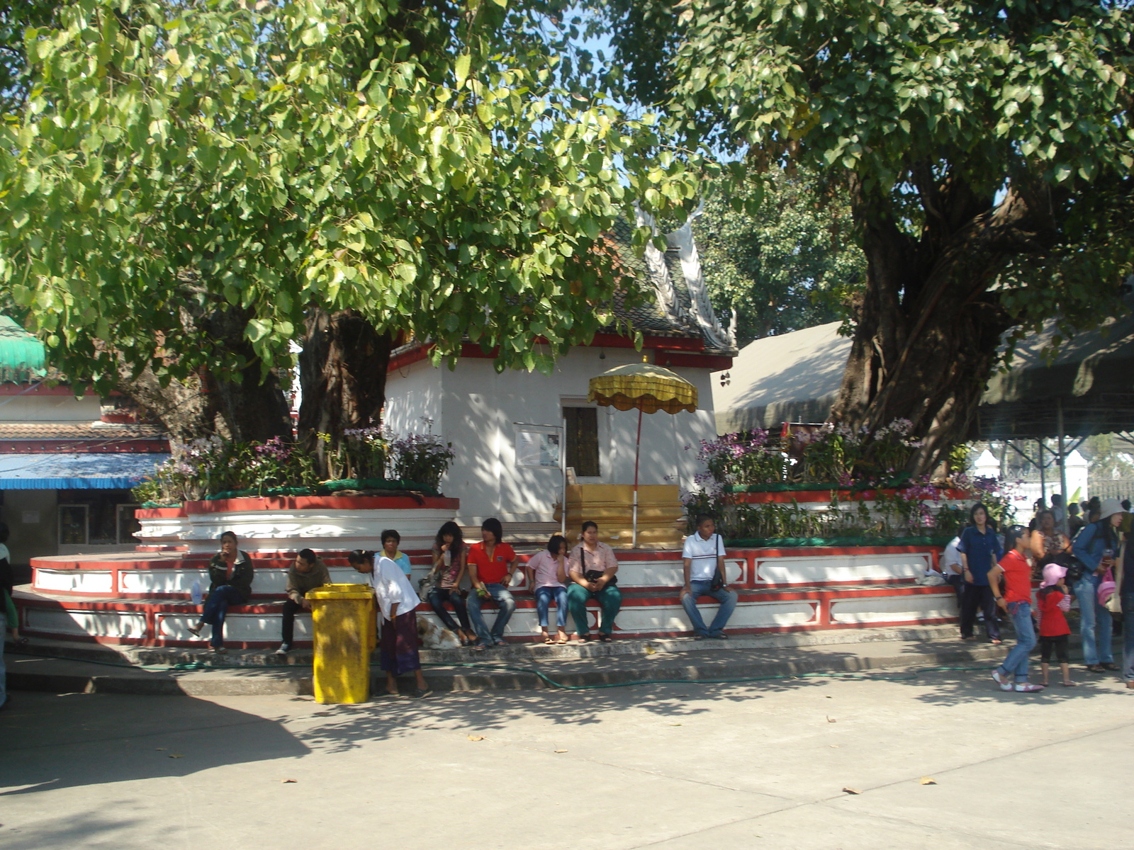 照片 泰国(Thailand) 彭世洛(Phitsanulok) 玛哈泰寺（大舍利寺）(Wat Pra Sri Rattana Mahathat Vora Maha Vihar) 2008-01 58