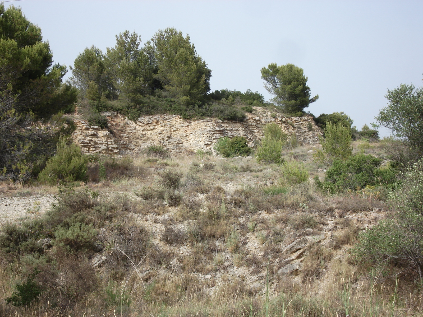 照片 法国(France) 索米耶尔(Sommieres) 2006-06 106