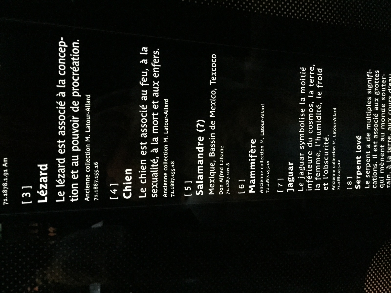 照片 法国(France) 巴黎(Paris) 布朗利河岸博物馆(Quai Branly Museum) 2015-09 15