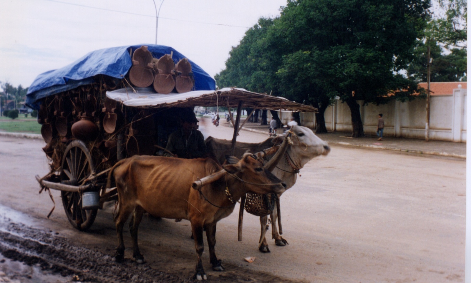 照片 柬埔寨(Cambodia) 金边(Phnom Penh) 1996-06 34