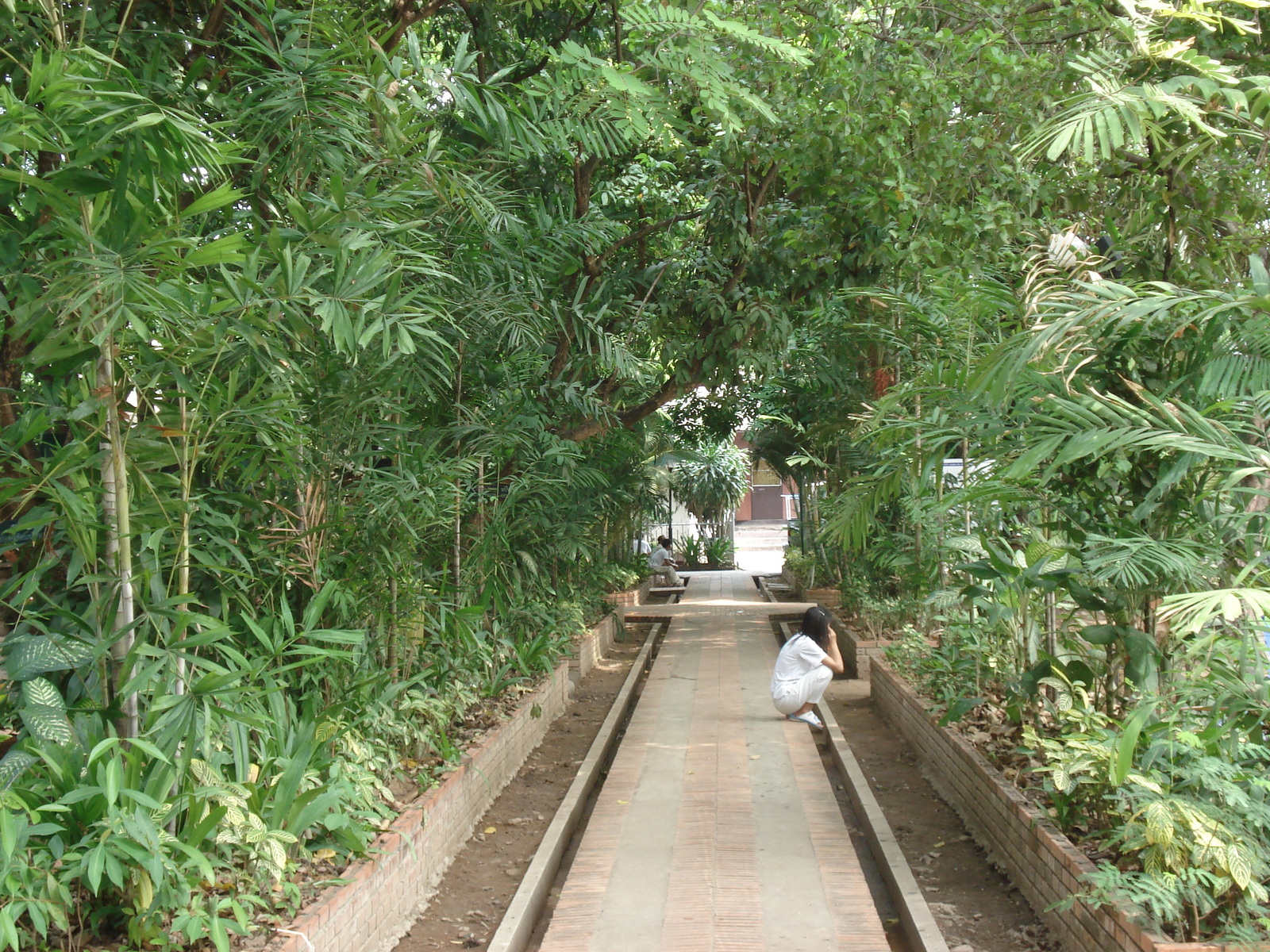 照片 泰国(Thailand) 清迈(Chiang Mai) 2006-04 19