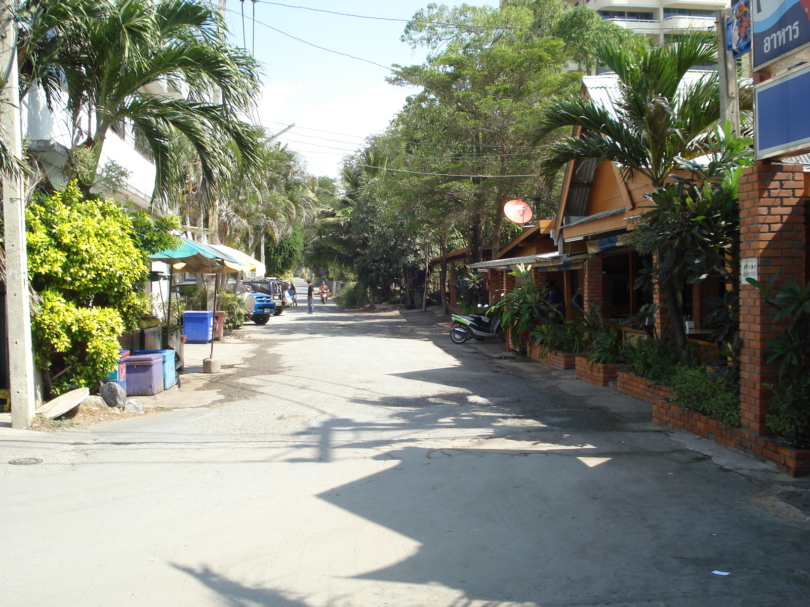 照片 泰国(Thailand) 宗甸(Jomtien) 宗甸海滨(Jomtien Seashore) 2008-01 164