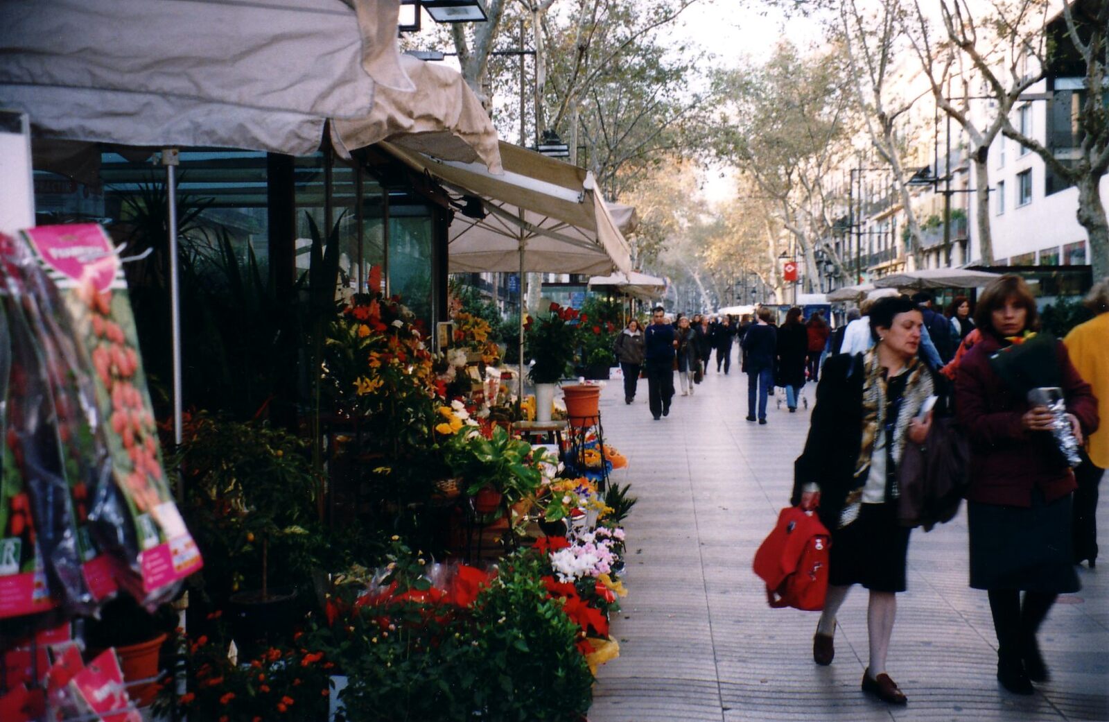 照片 西班牙(Spain) 巴塞罗那(Barcelona) 2001-11 140