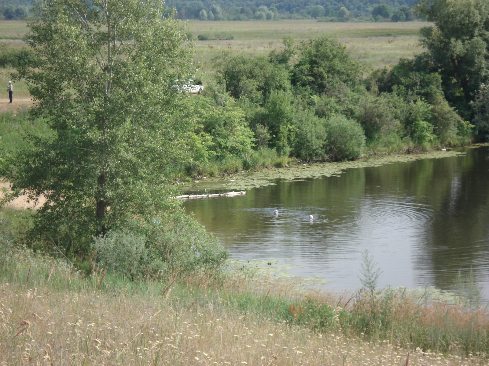 照片 俄罗斯(Russia) 喀山至下诺夫哥罗德(From Kazan to Nizhniy Novgorod) 2006-07 37