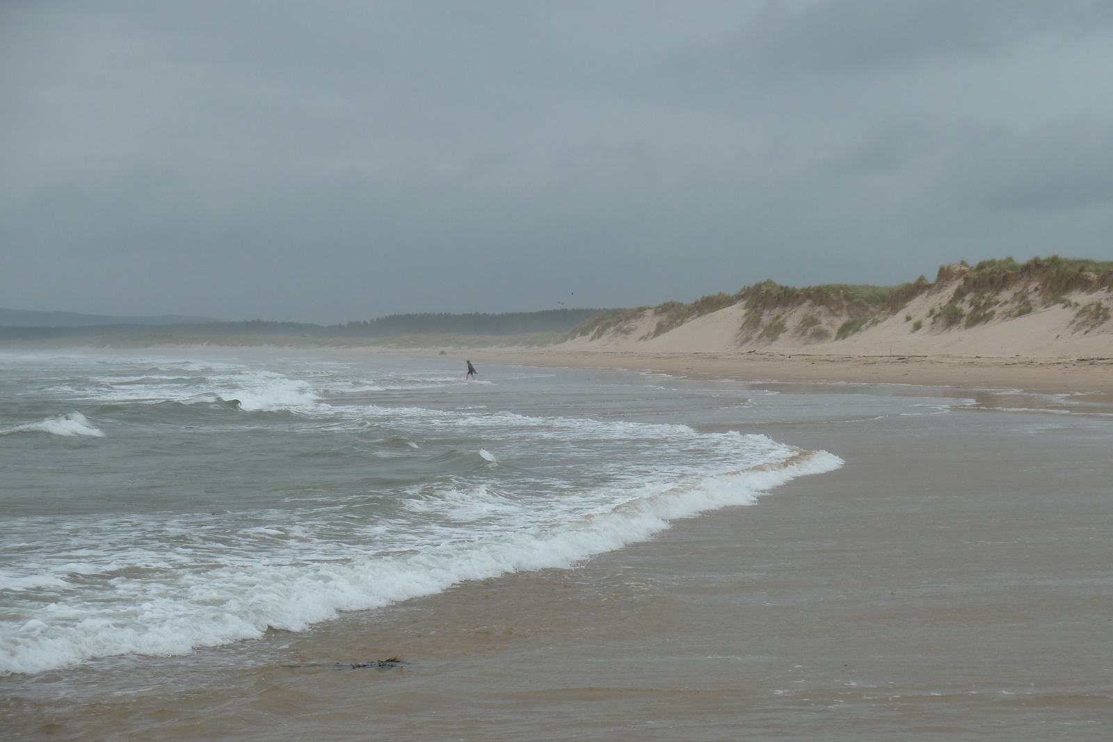 照片 英国(United Kingdom) 苏格兰(Scotland) 洛西茅斯(Lossiemouth) 2011-07 24