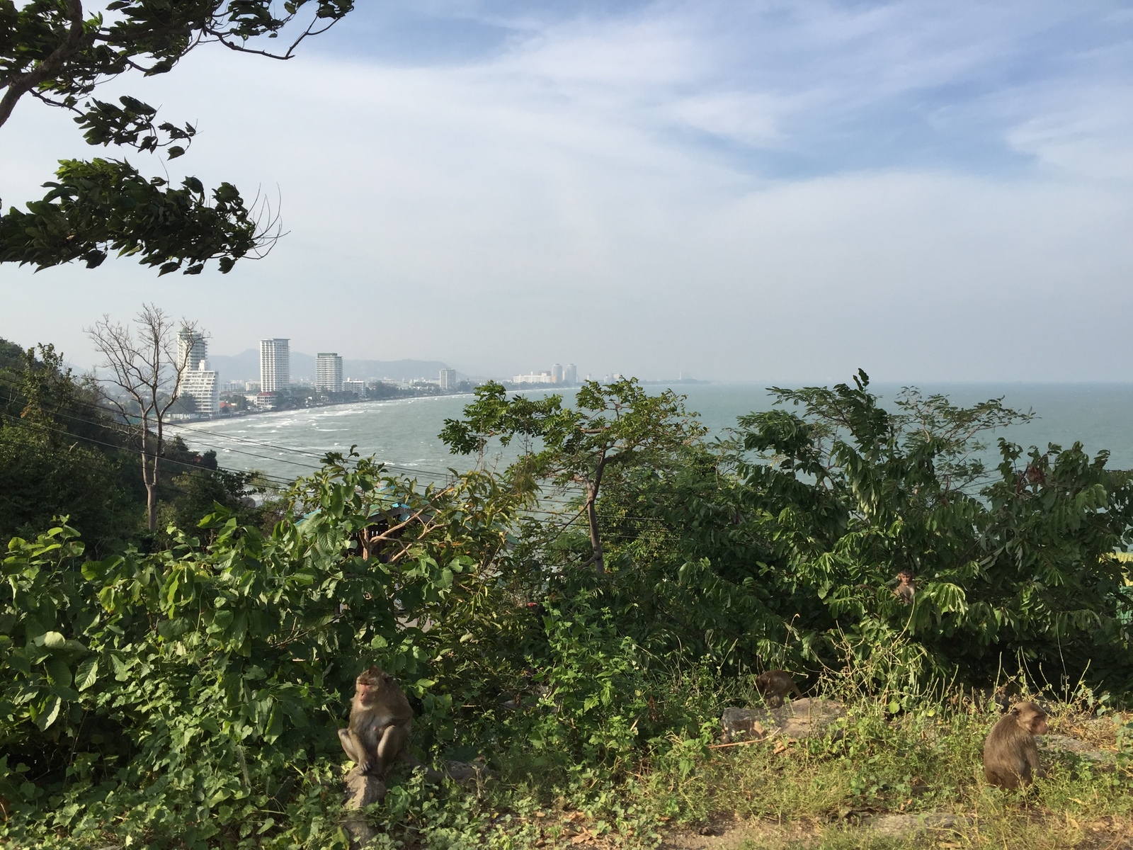 照片 泰国(Thailand) 华欣(Hua hin) 2016-01 71