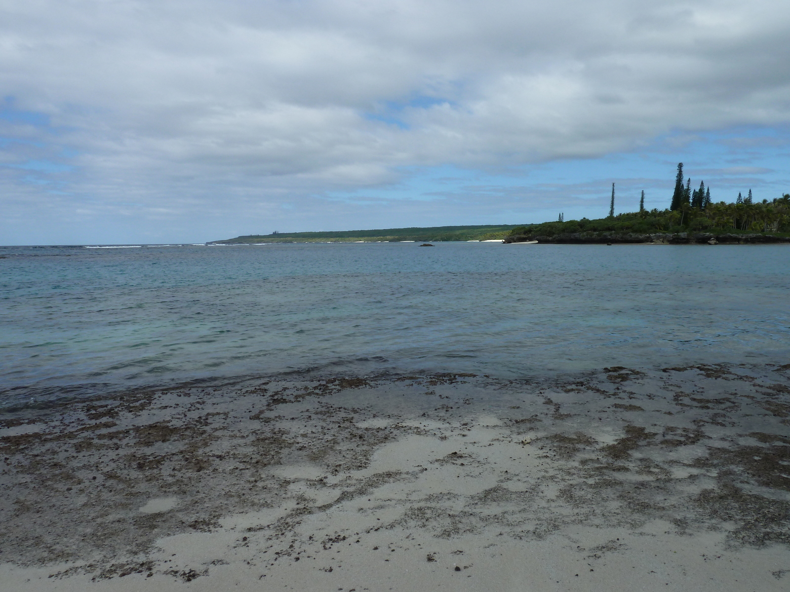 照片 新喀里多尼亚(New Caledonia) 利富岛(Lifou) 海龟湾(Baie des tortues) 2010-05 34