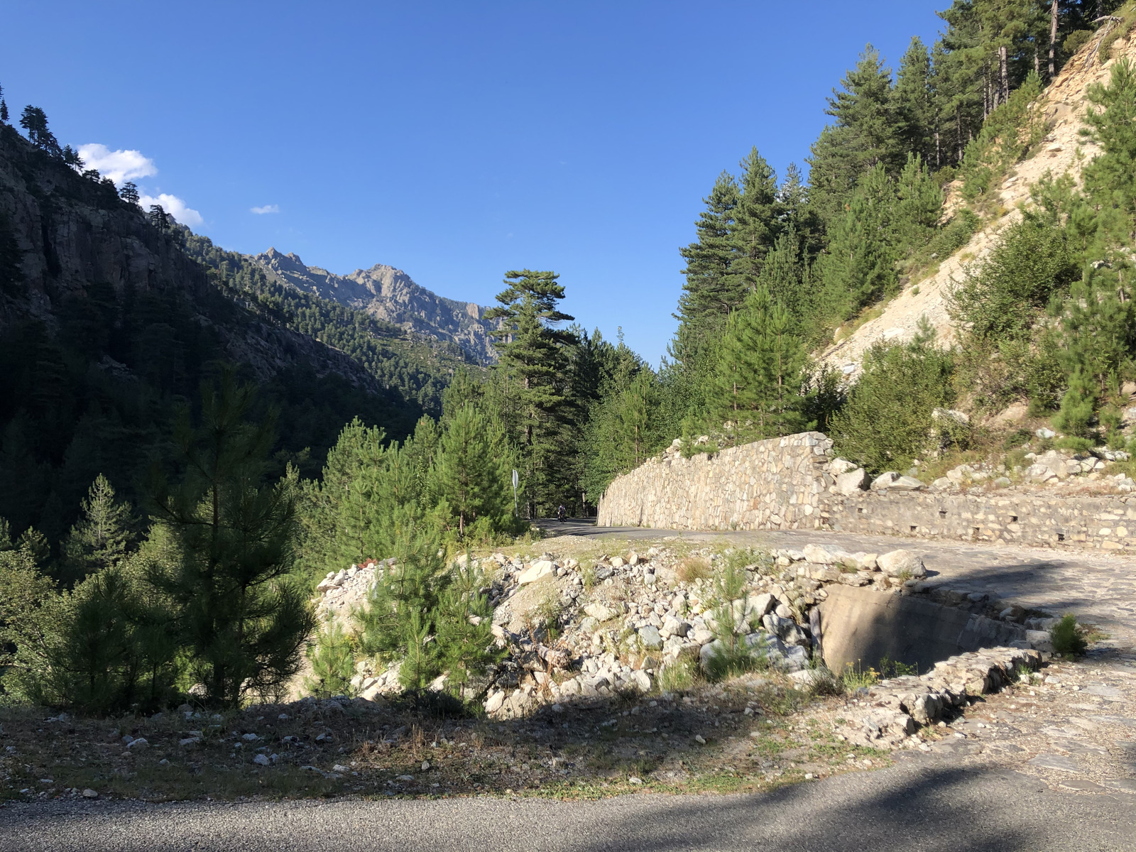 照片 法国(France) 科西嘉岛(Corsica) 雷斯托尼卡山谷(La Restonica) 2020-07 24