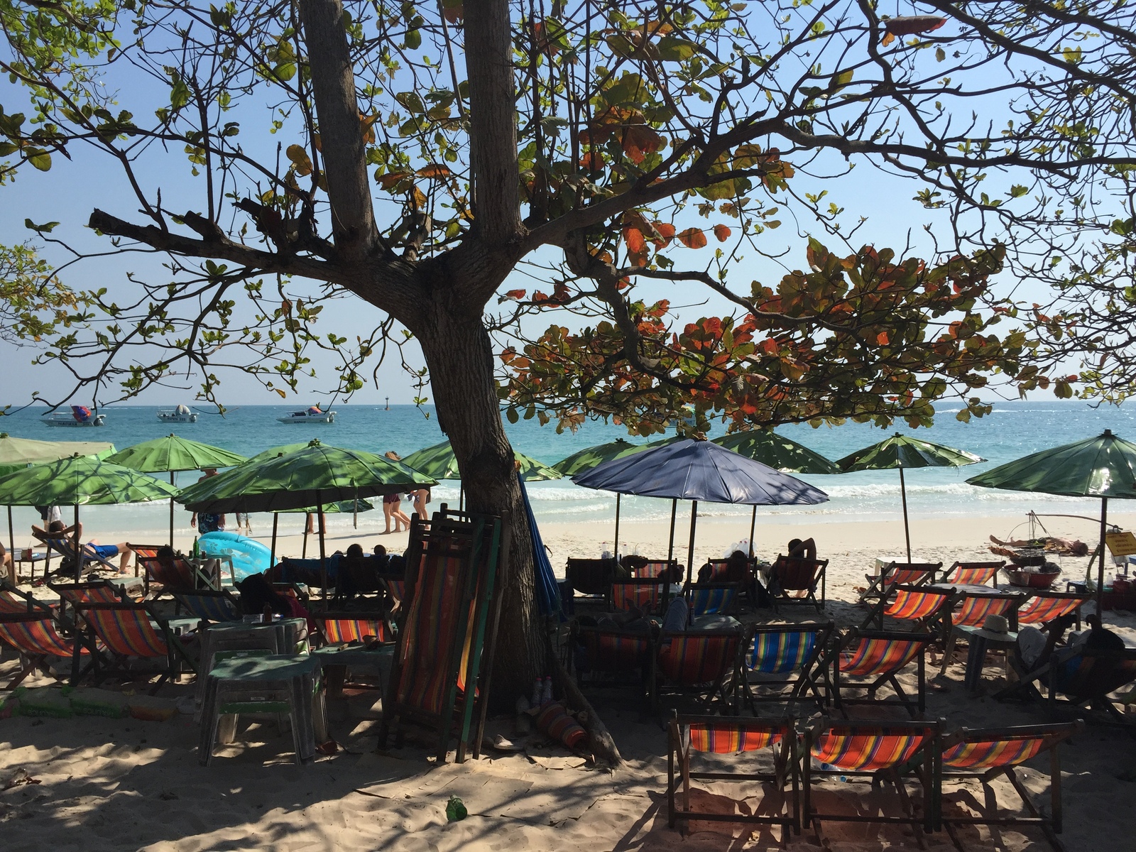 照片 泰国(Thailand) 沙美岛(Ko Samet) 2016-01 43