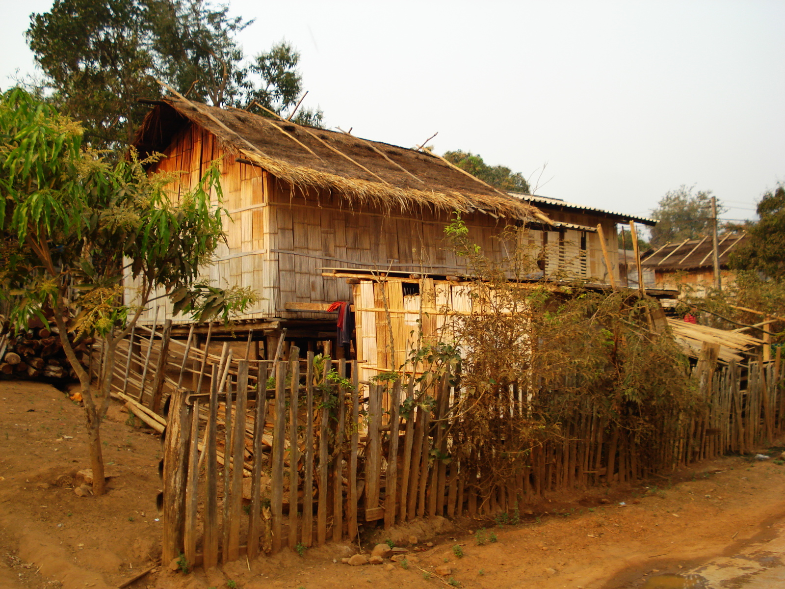 照片 泰国(Thailand) 邦玛帕(Pang Mapha) 2007-02 18