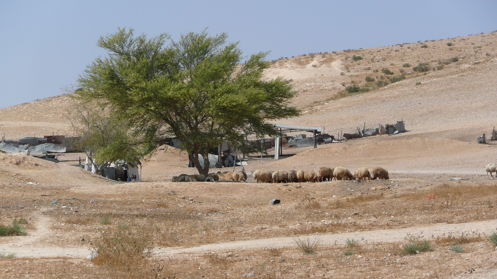 照片 以色列(Israel) 阿什凯隆至阿拉德公路(Ashkelon to Arad road) 2007-06 90